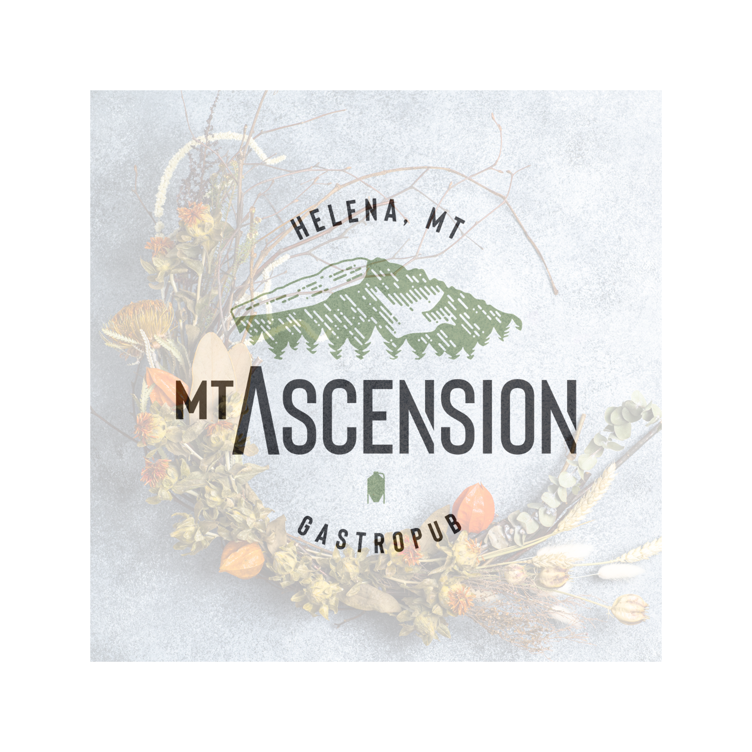 Workshop Website images.png