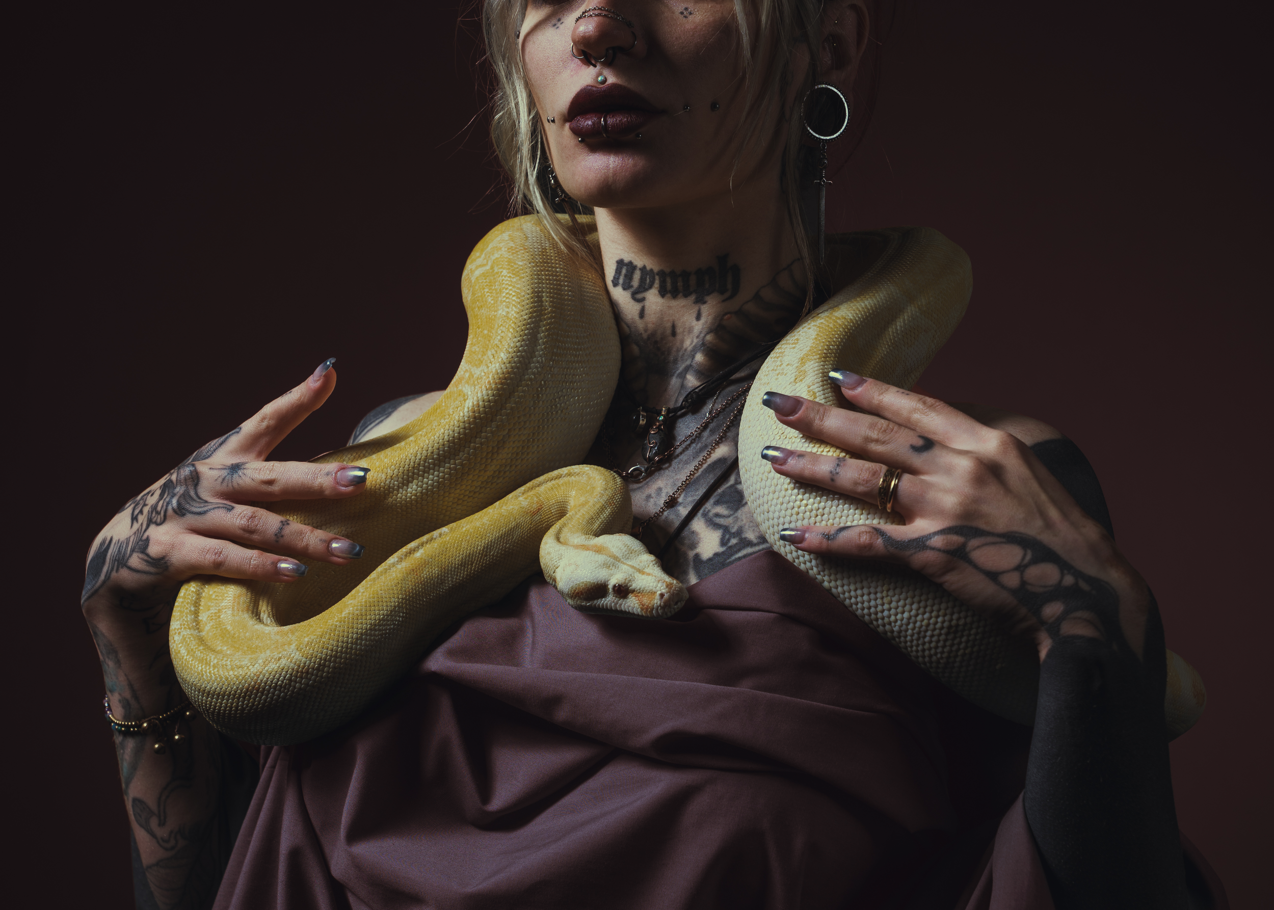vixey_snake_edit.png
