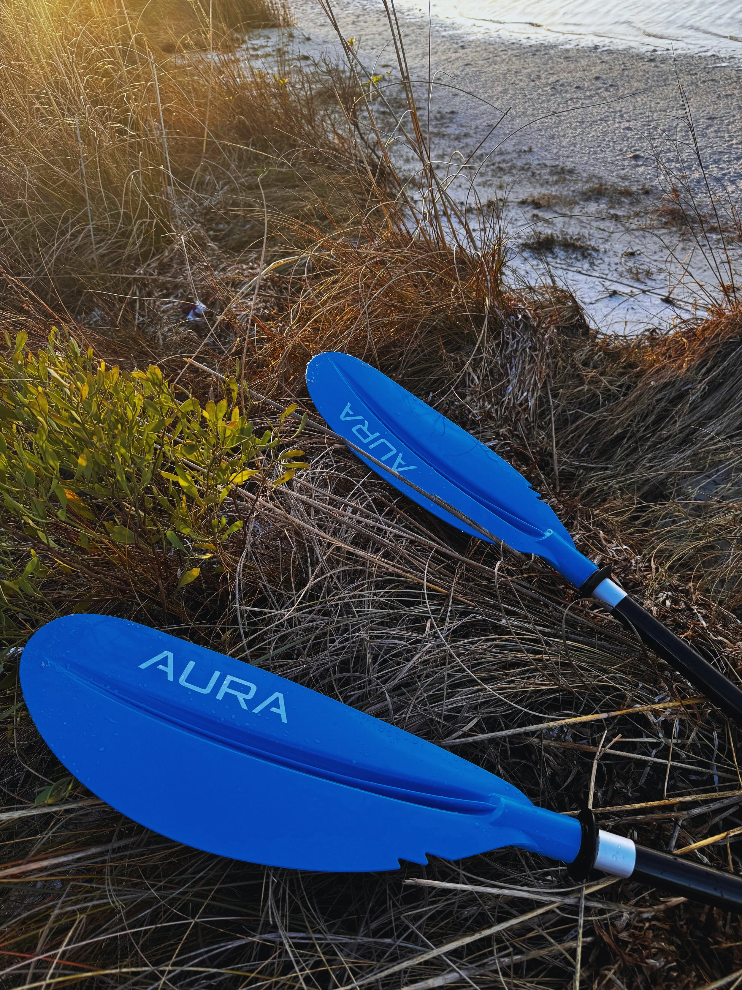 Two blue kayak paddles lying on a sandy and grassy beach area near the water.