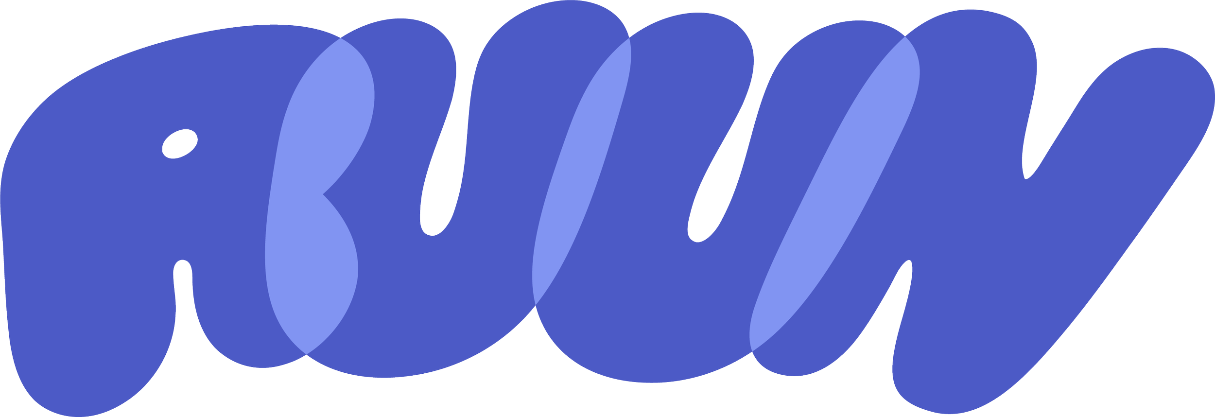 The logo features the word 'pay' in bold, lowercase, dark blue letters with a stylized, modern design.