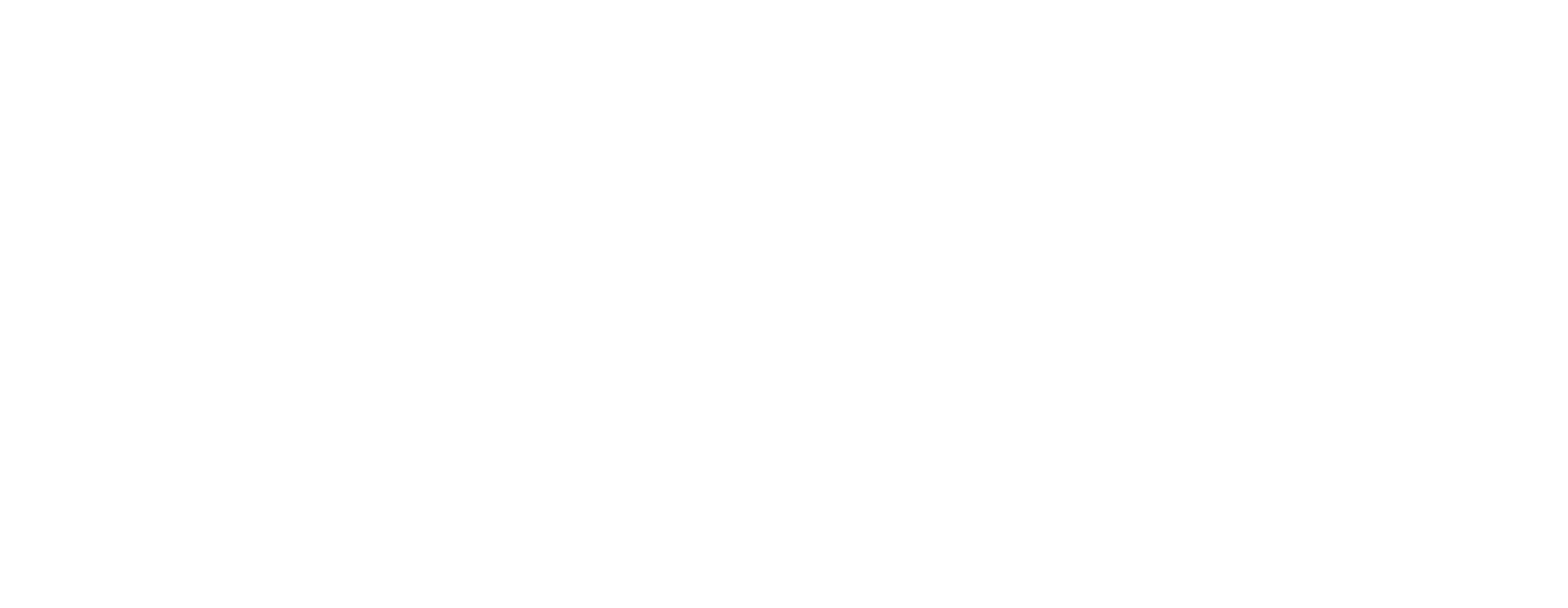 Main Logo White.png