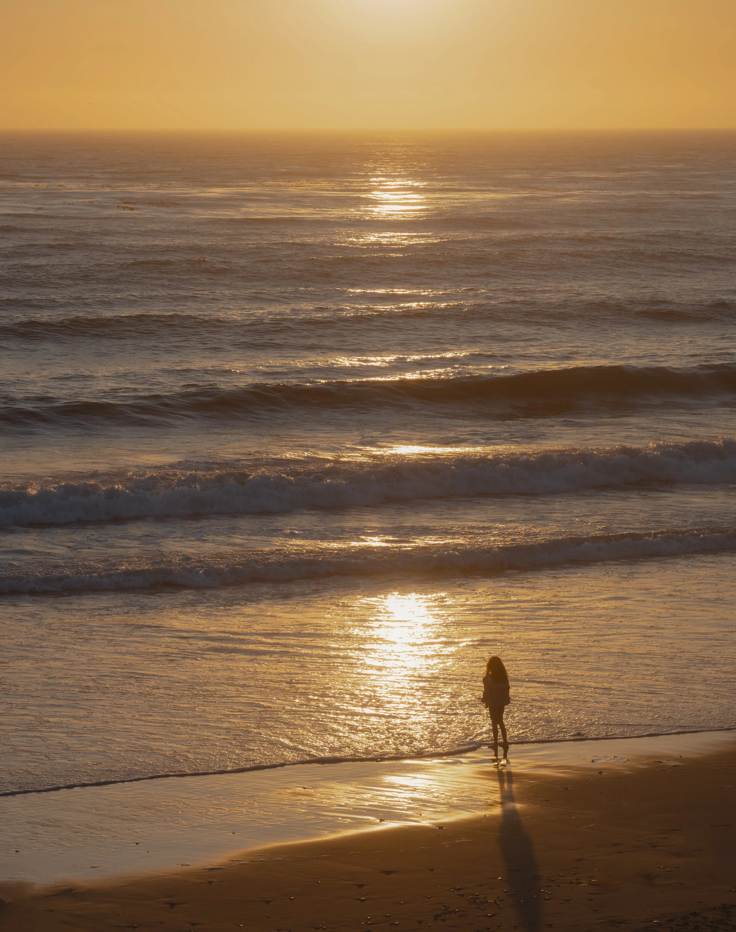DSC_4276-Edit.jpg