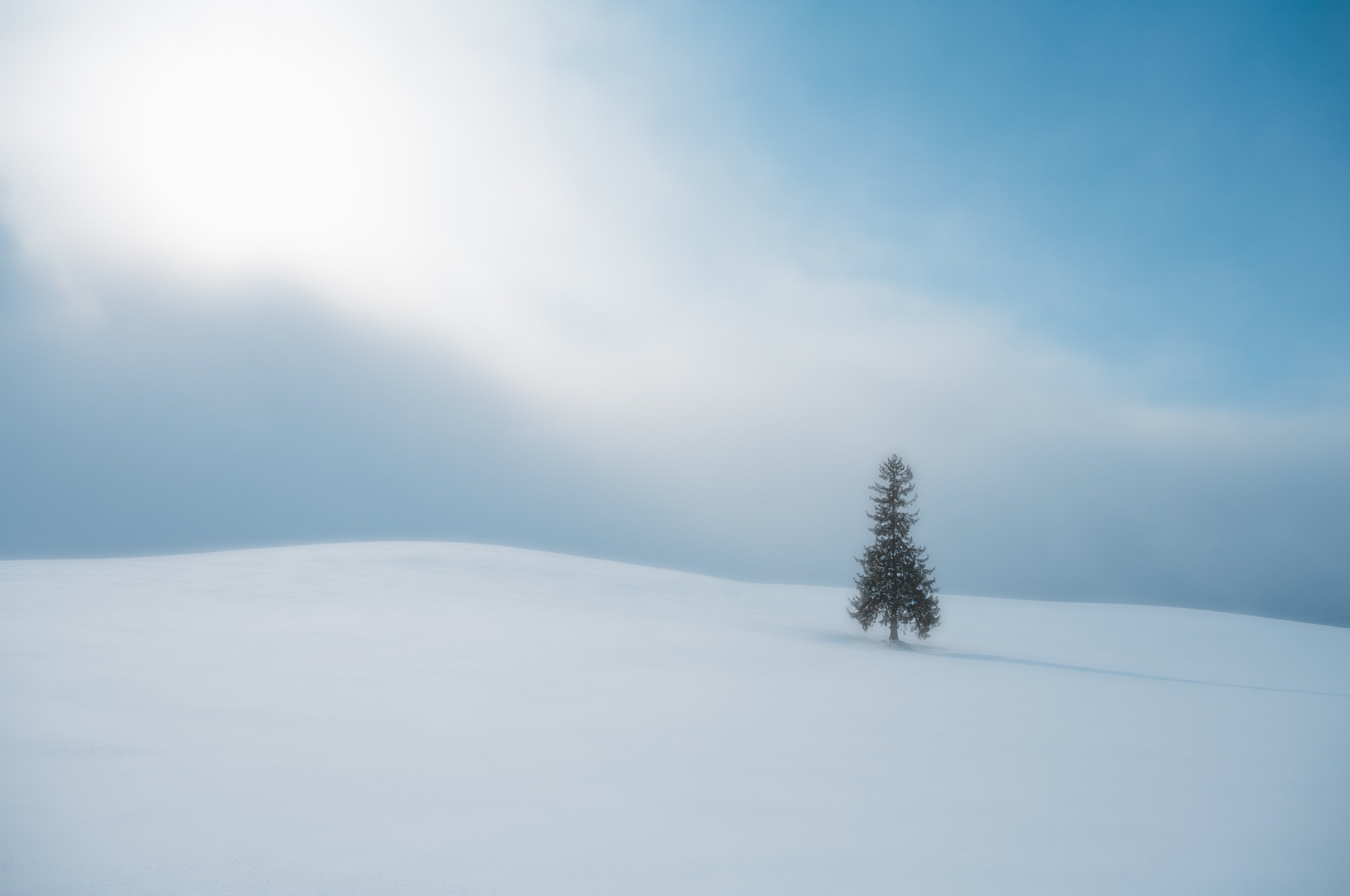 DSC_9183-Edit.jpg
