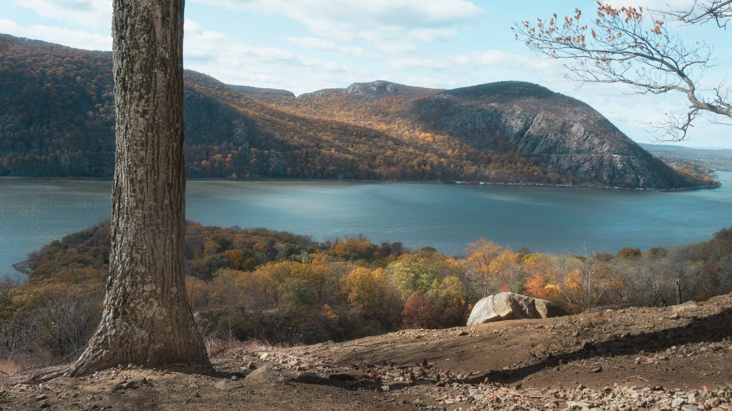 DSC_8460-Edit-4.jpg