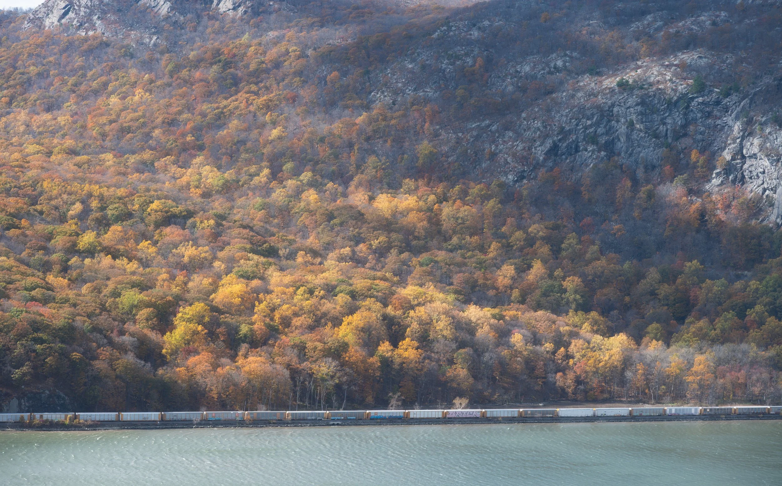 DSC_8470-Edit.jpg