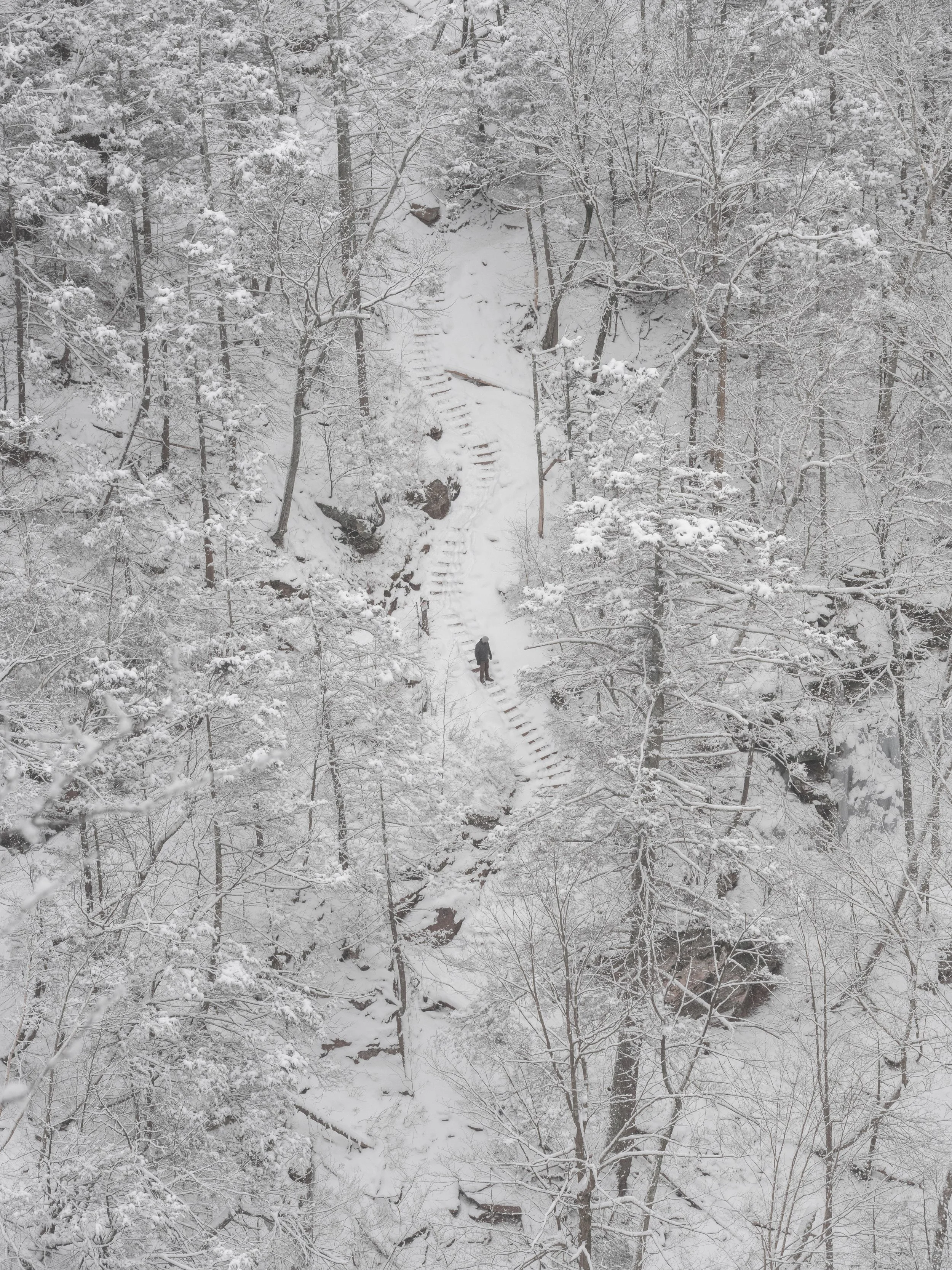 DSC_8908-2.jpg