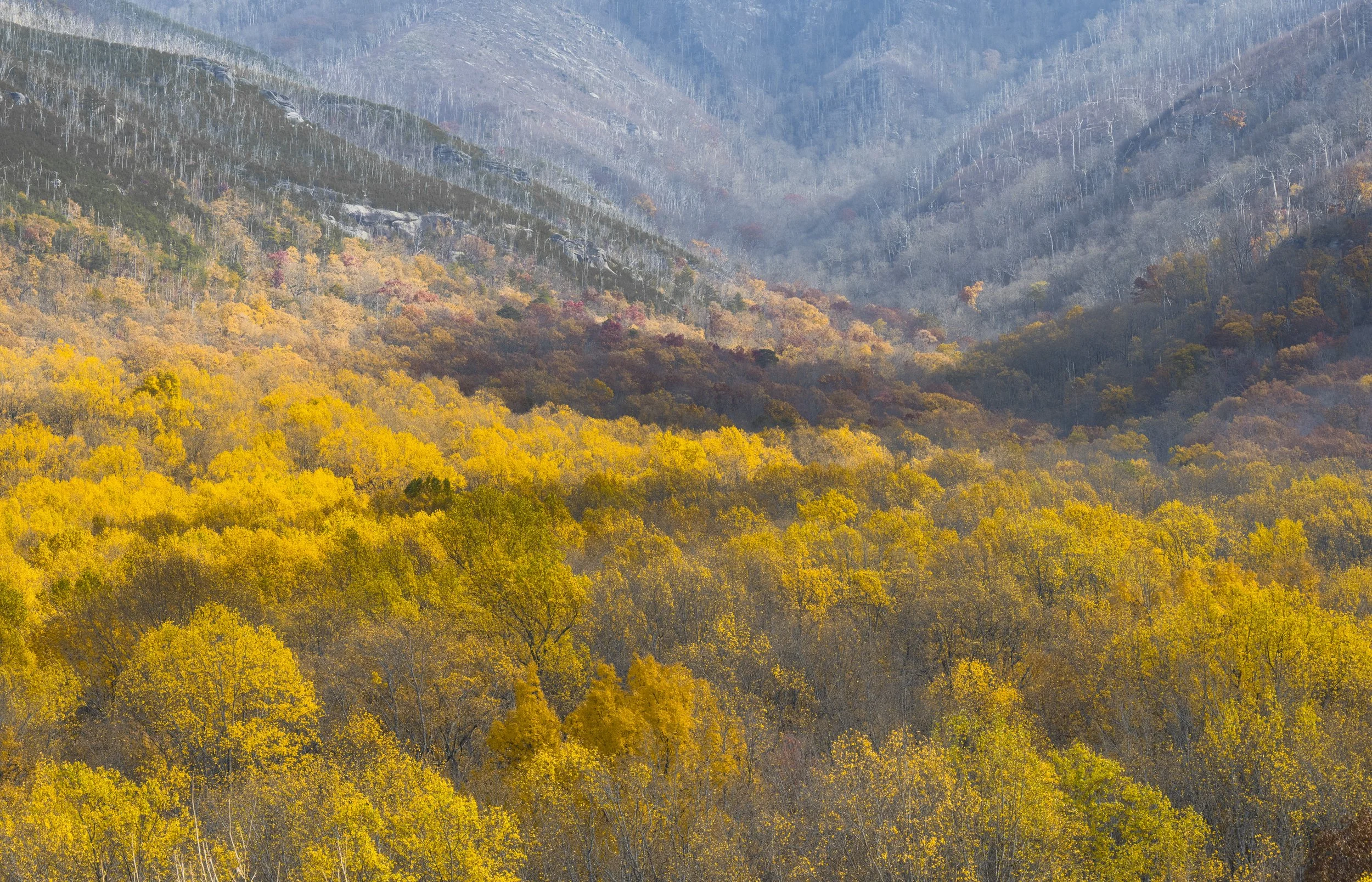 DSC_5588-Edit.jpg