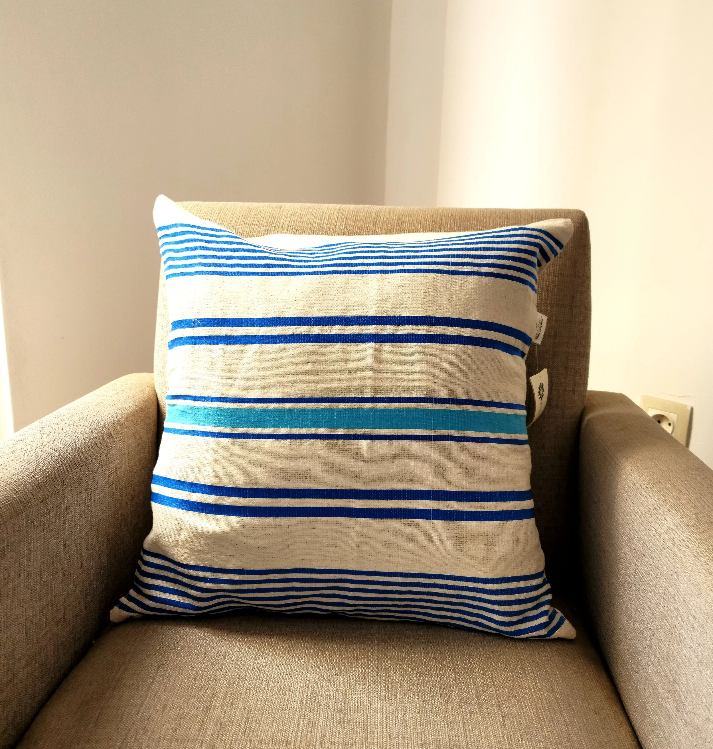 blue pillow cover.jpg