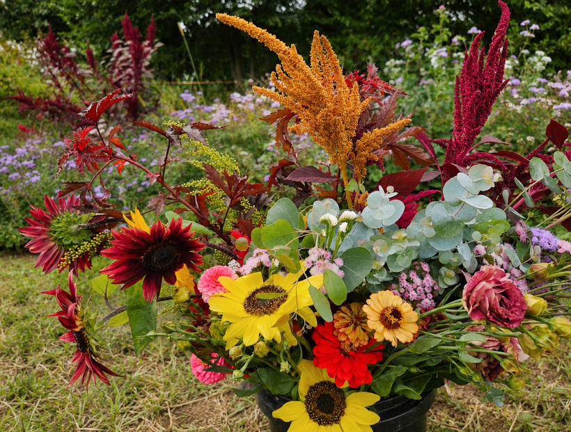 Grower’s Choice DIY Flower Bucket
