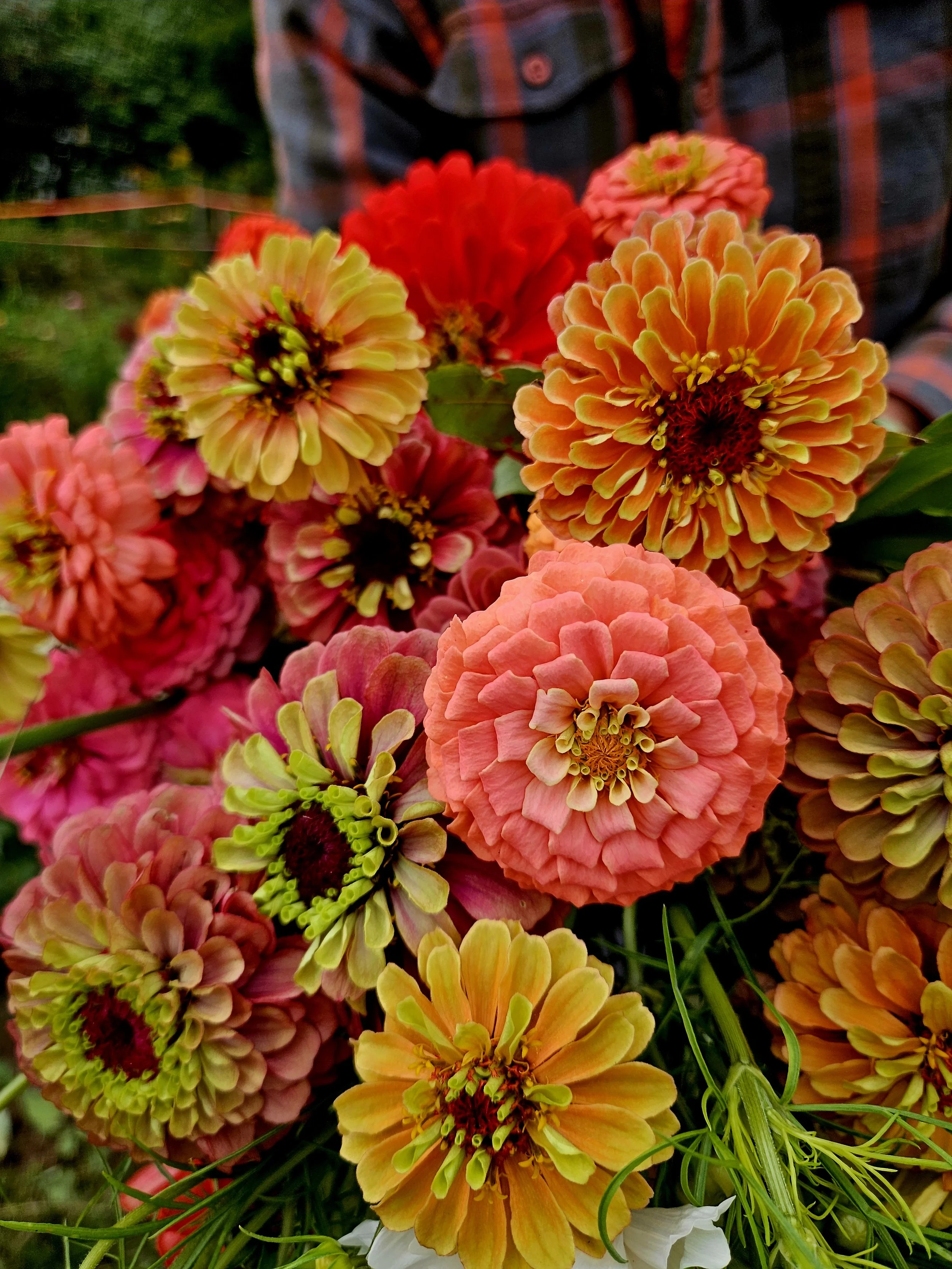 Premium DIY Flower Bucket (5-gallon)