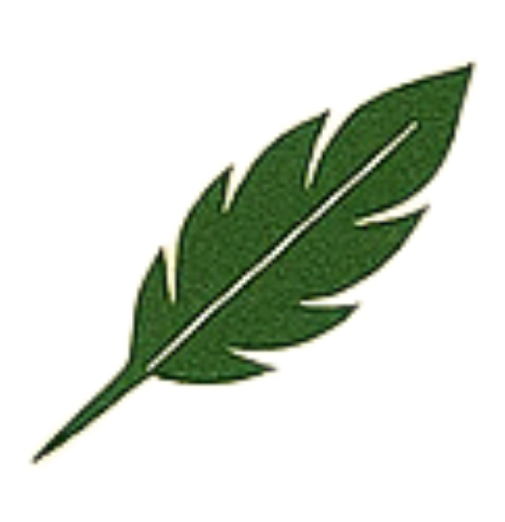 Illustration of a green leaf with detailed veins and a yellow outline.
