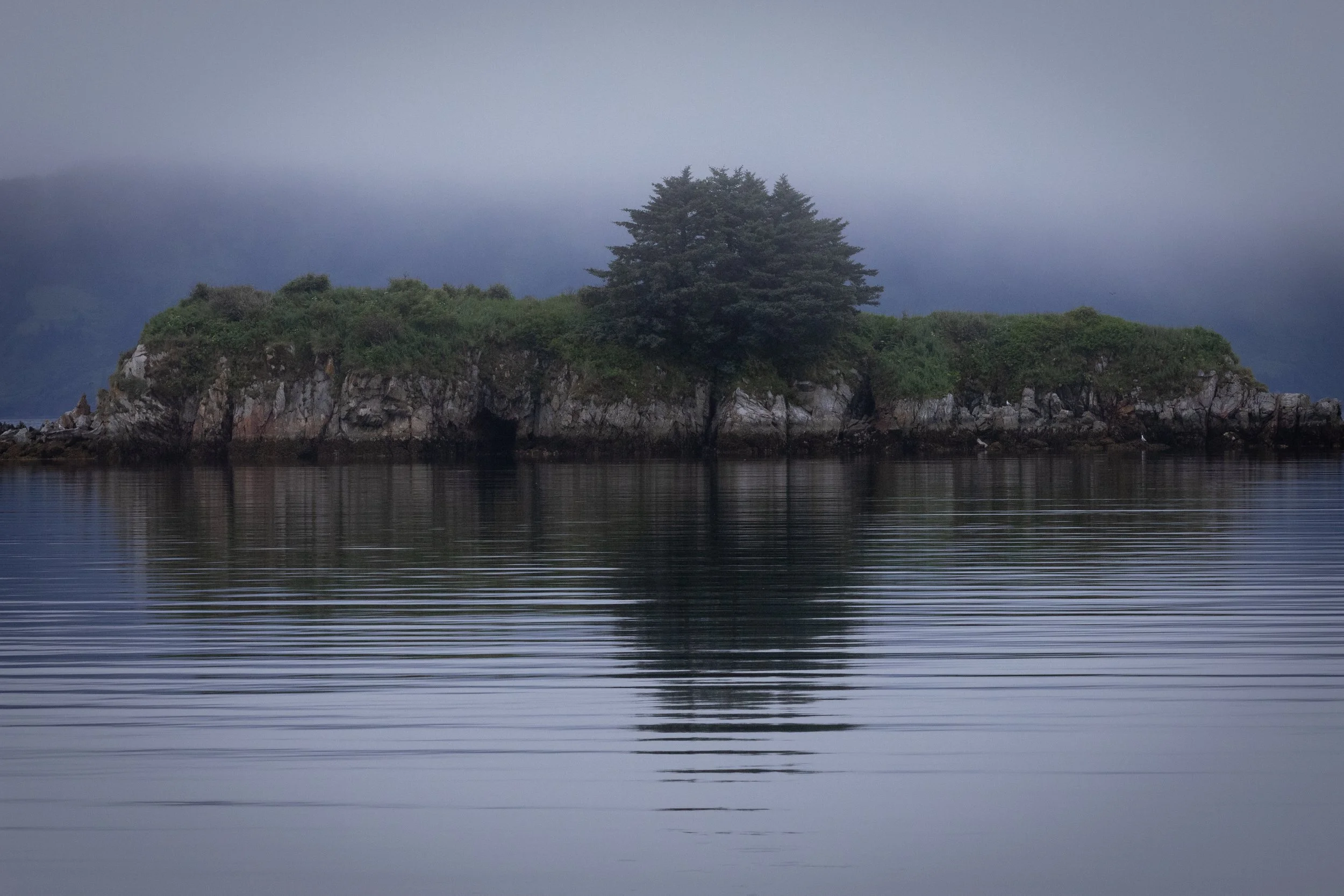 Foggy Island