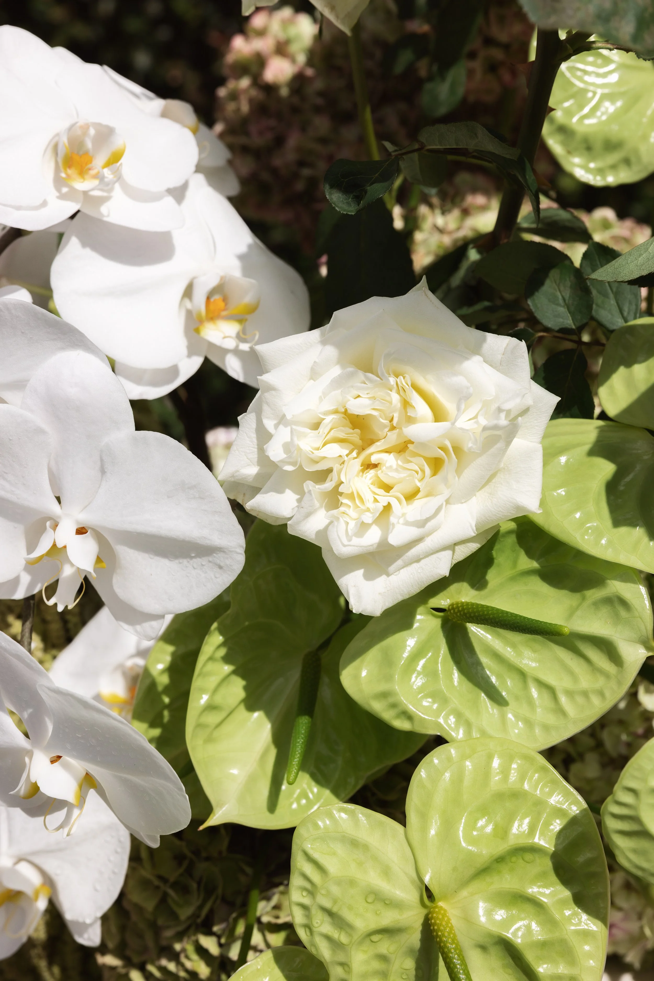 Emma & Cameron Highlights-17.jpg