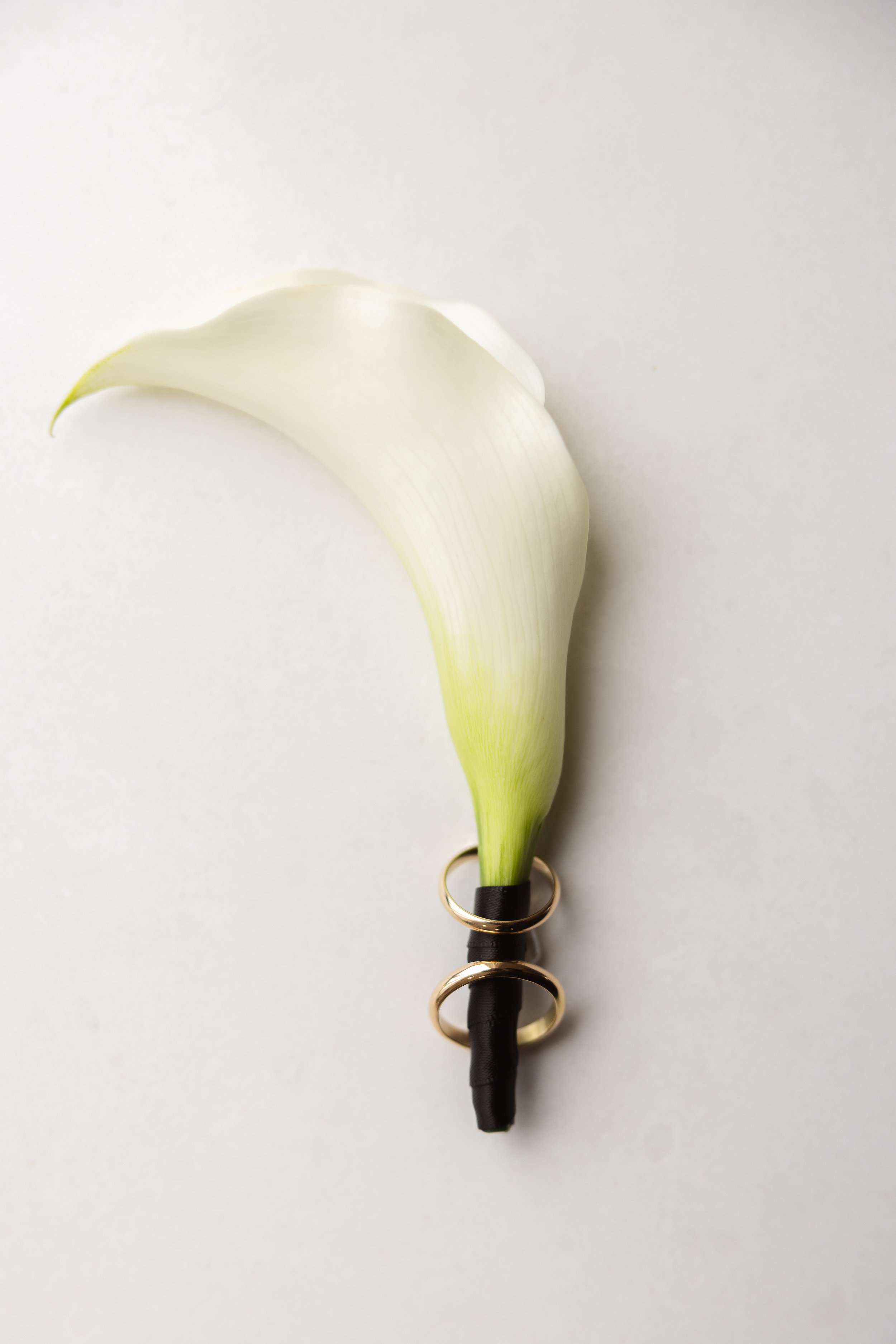 Emma & Cameron Highlights-1.jpg