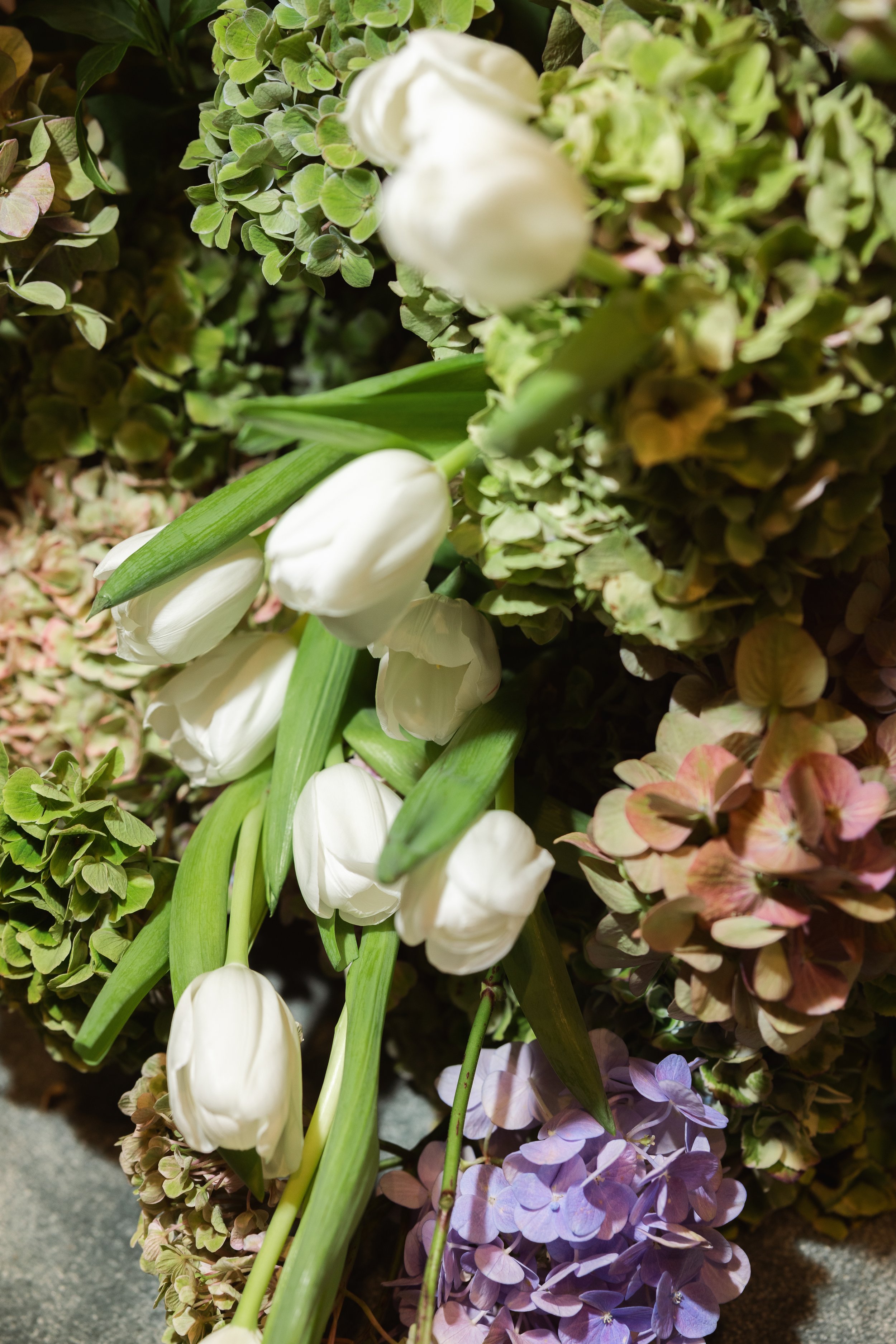 Emma & Cameron Highlights-75.jpg