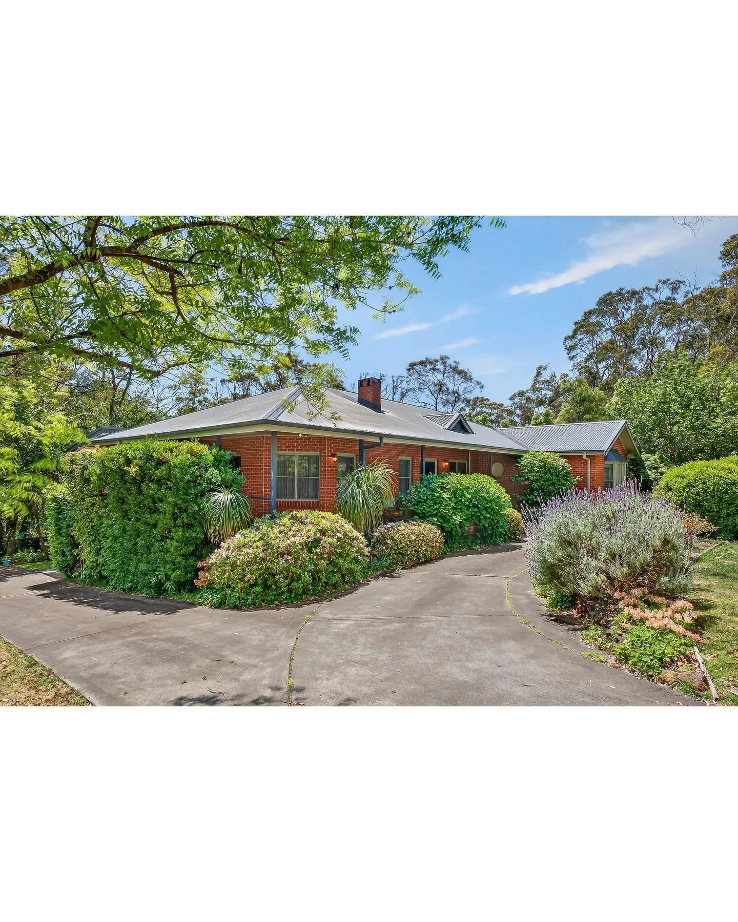 I shot this multilevel brick home on 126-128 Henderson Road in Wentworth falls for Catriona Swan at Belle Property Blue Mountains. Beautiful finishing touches inside and lovely gardens outside make this a standout home. 
.
.
.
.
.
@catatbelle @bellep
