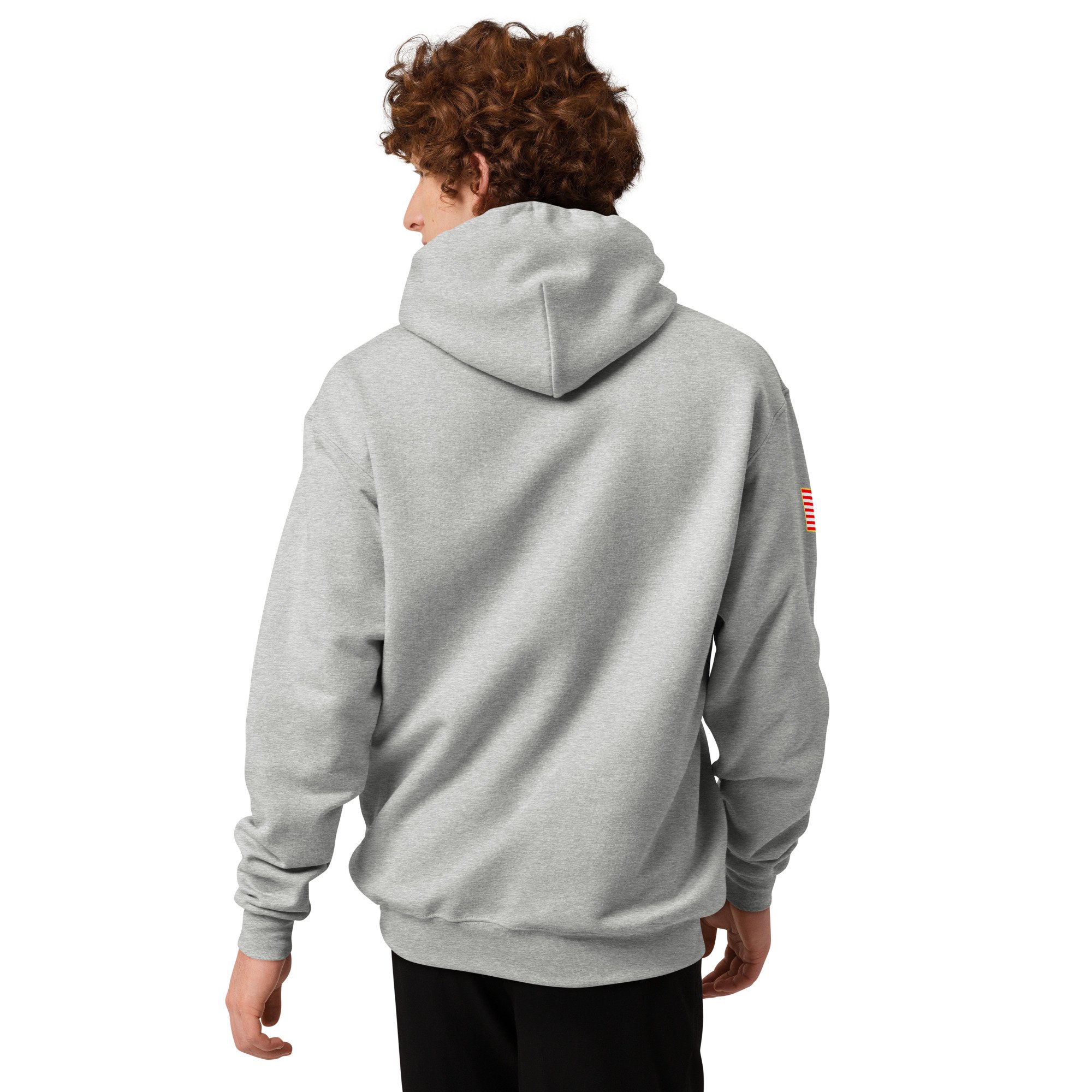unisex-champion-hoodie-light-steel-back-69c11d7e0b9b2.jpg