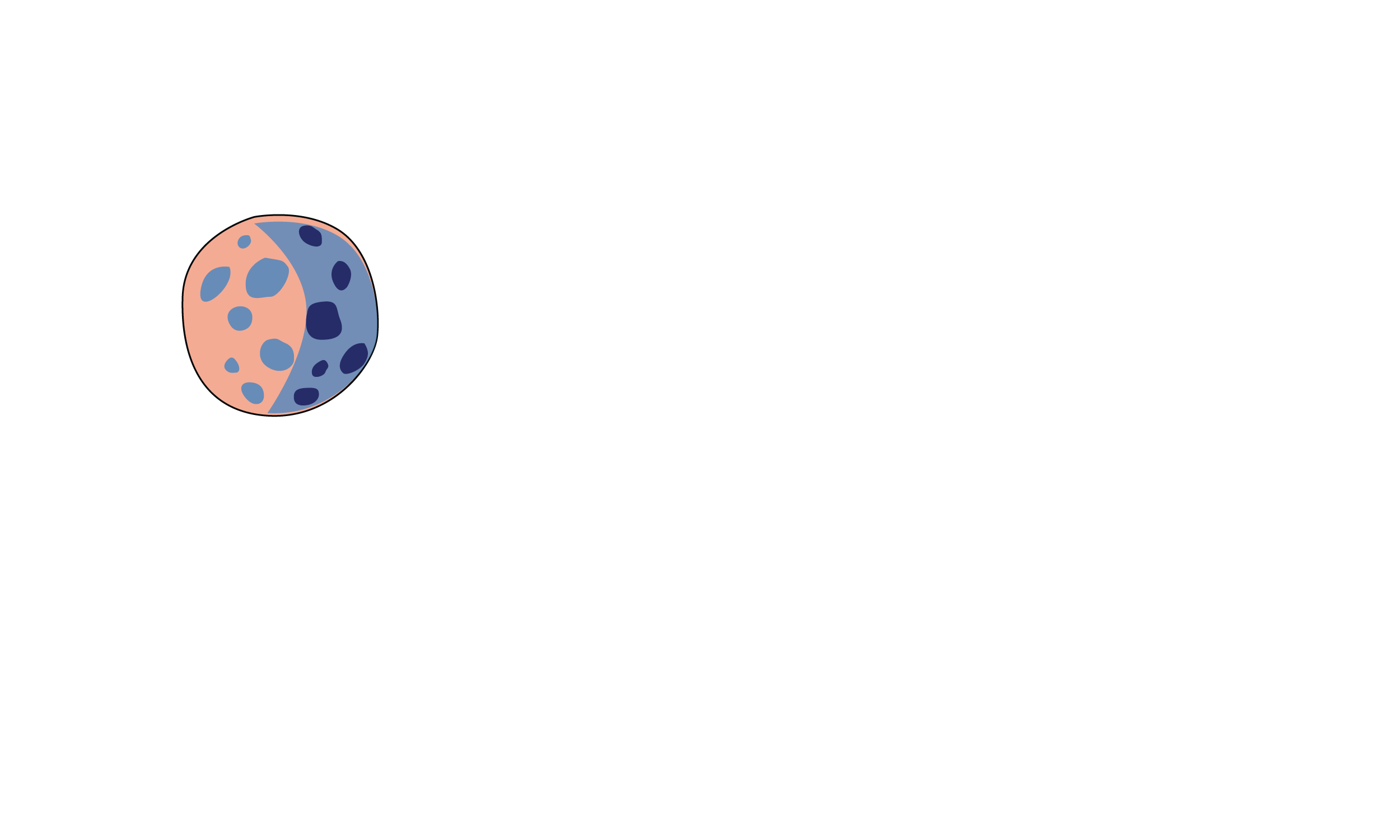 Digital illustration of a pink and blue moon with dark blue craters next to black text that reads "Moon of the Night"