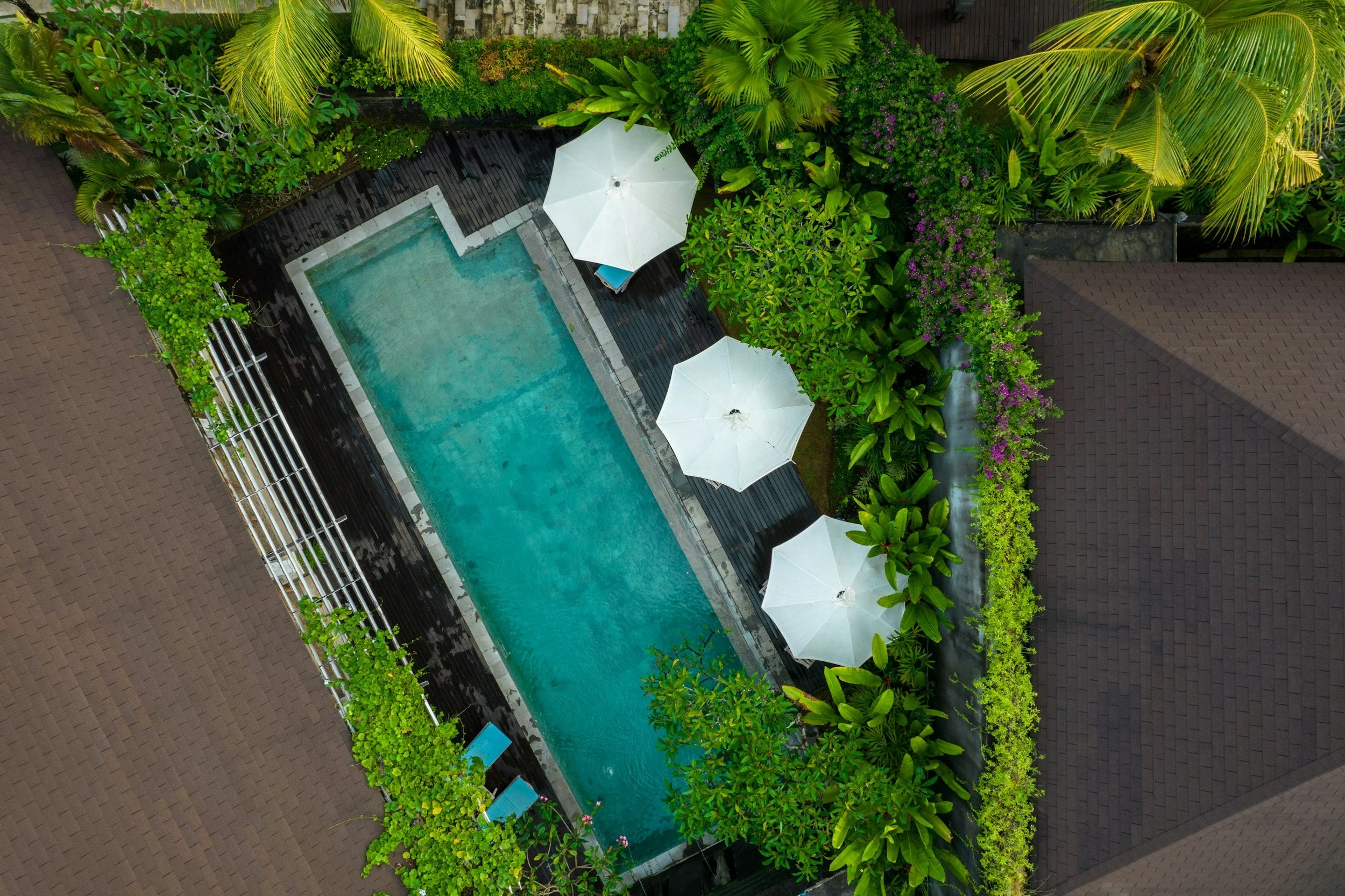 An aerial view of a rectangular swimming pool surrounded by lush green plants and trees, with three white umbrellas and paved surrounding areas.