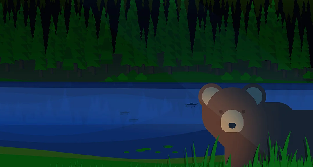 Night_Camping_Detail2.jpg