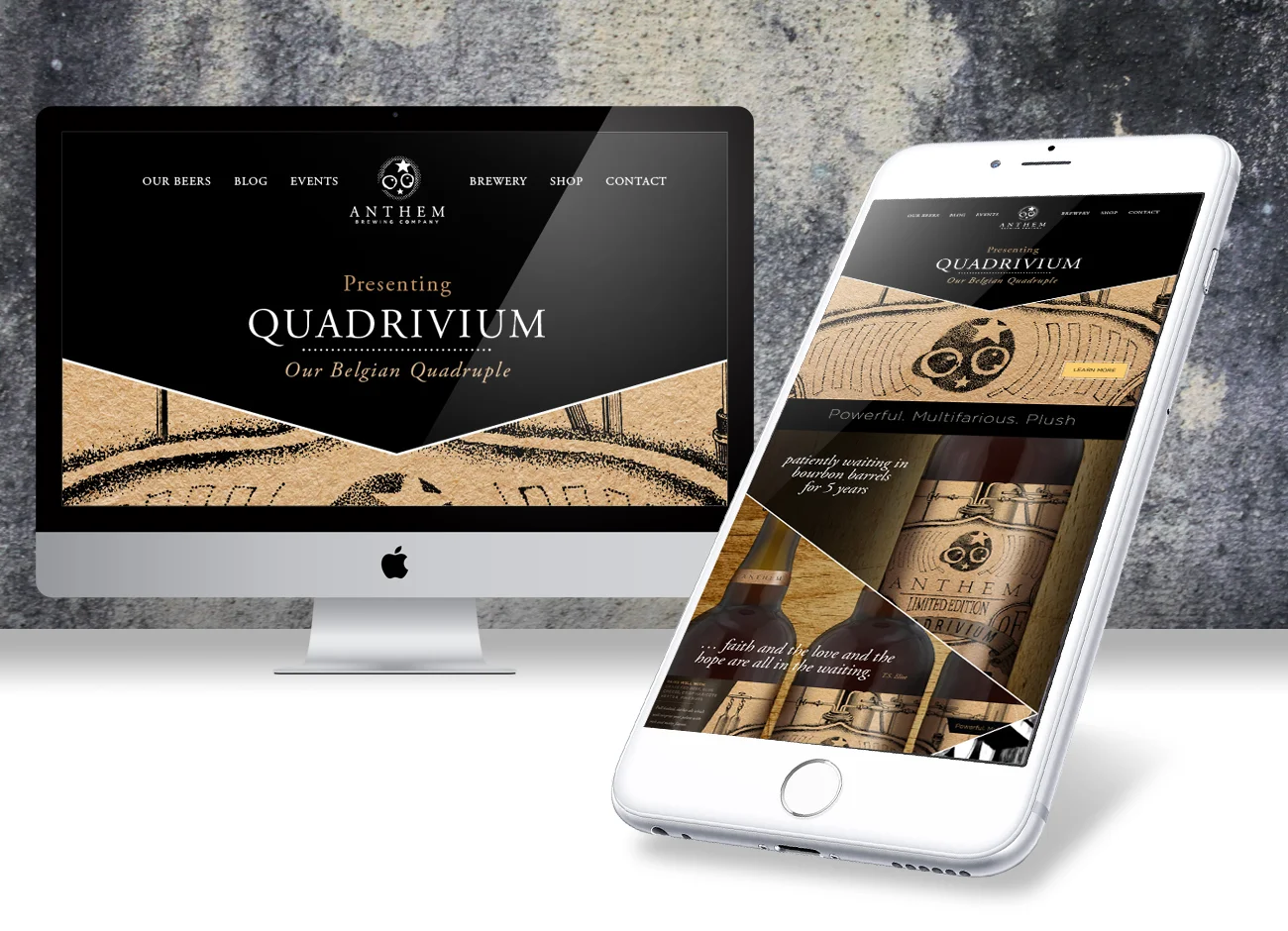  HTML campaigns to keep our customers aware of new products and special releases. 