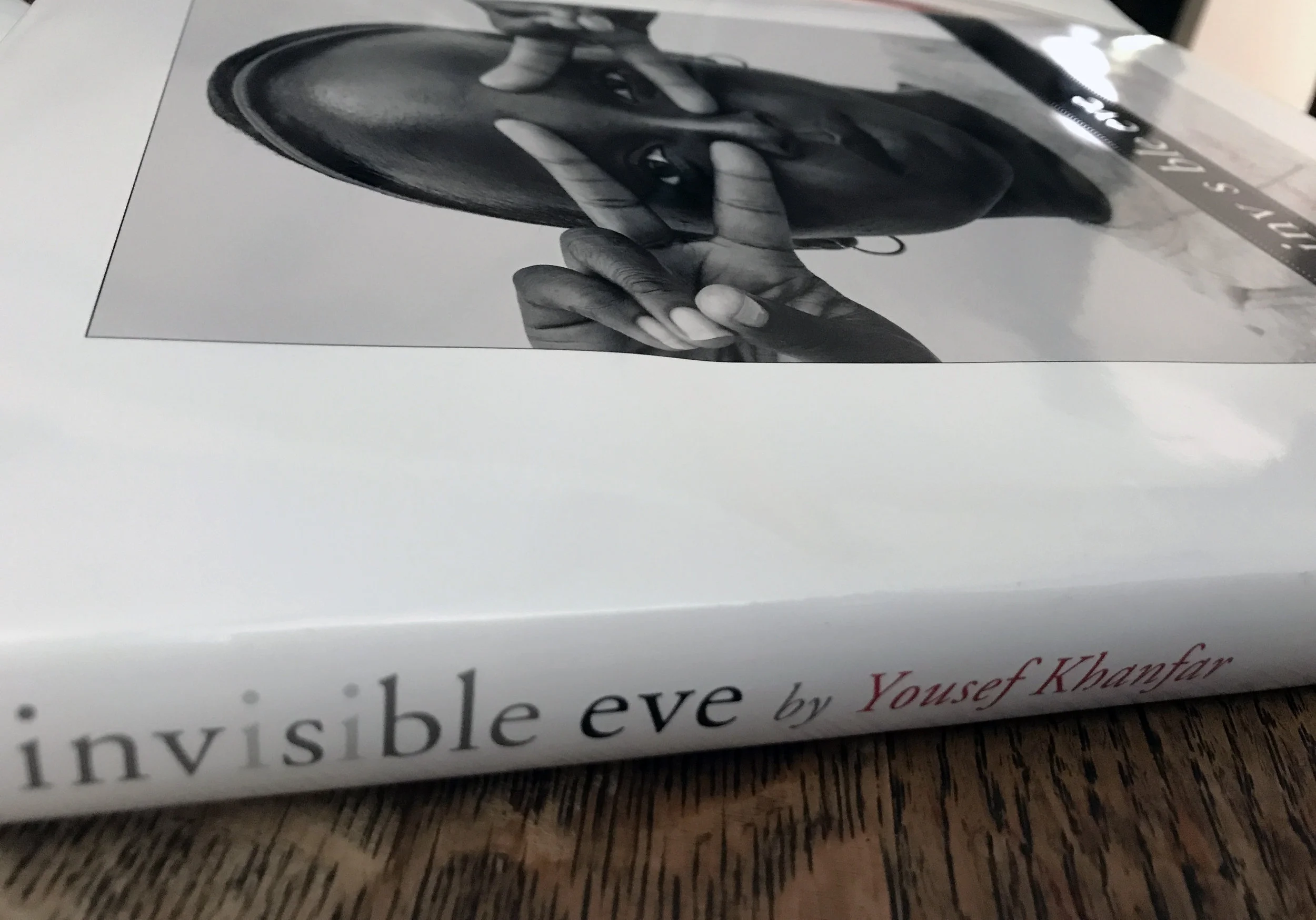  In Invisible Eve, award-winning photographer, and writer Yousef Khanfar, in his lifelong search for the essence of humanity, goes behind prison walls, where women convicted of nonviolent crimes are cast away and forgotten. 