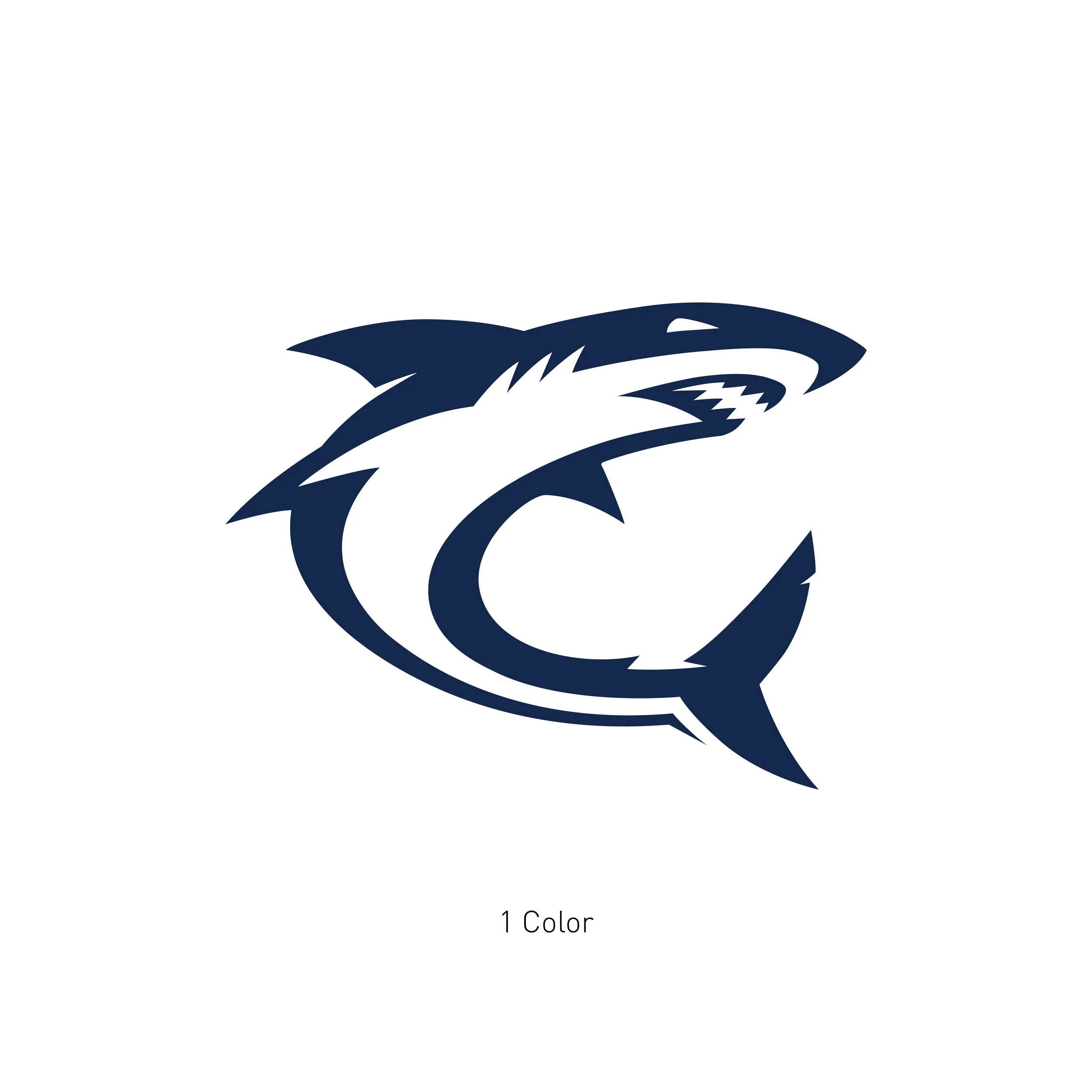 PSAA Sharks-01.jpg