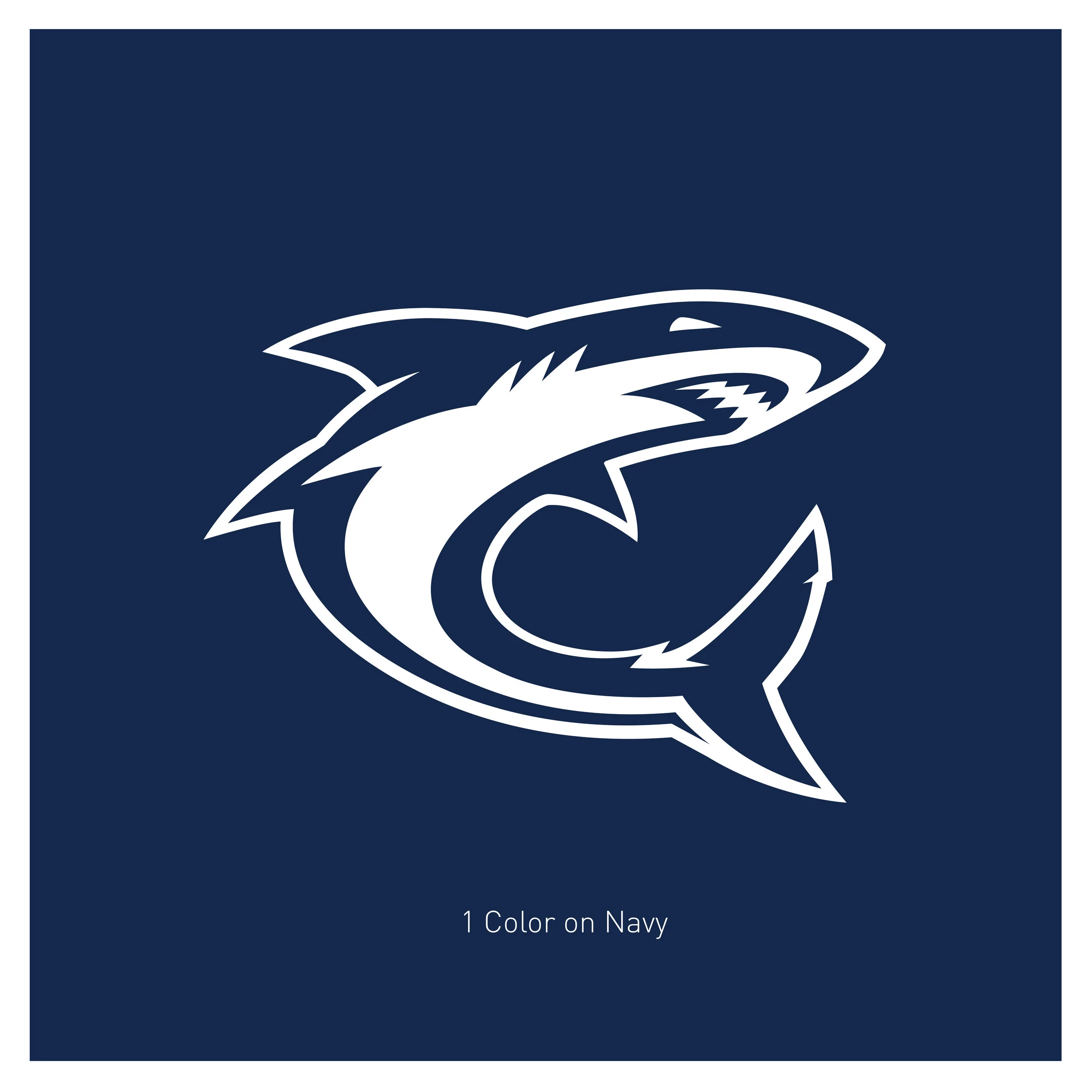 PSAA Sharks-03.jpg