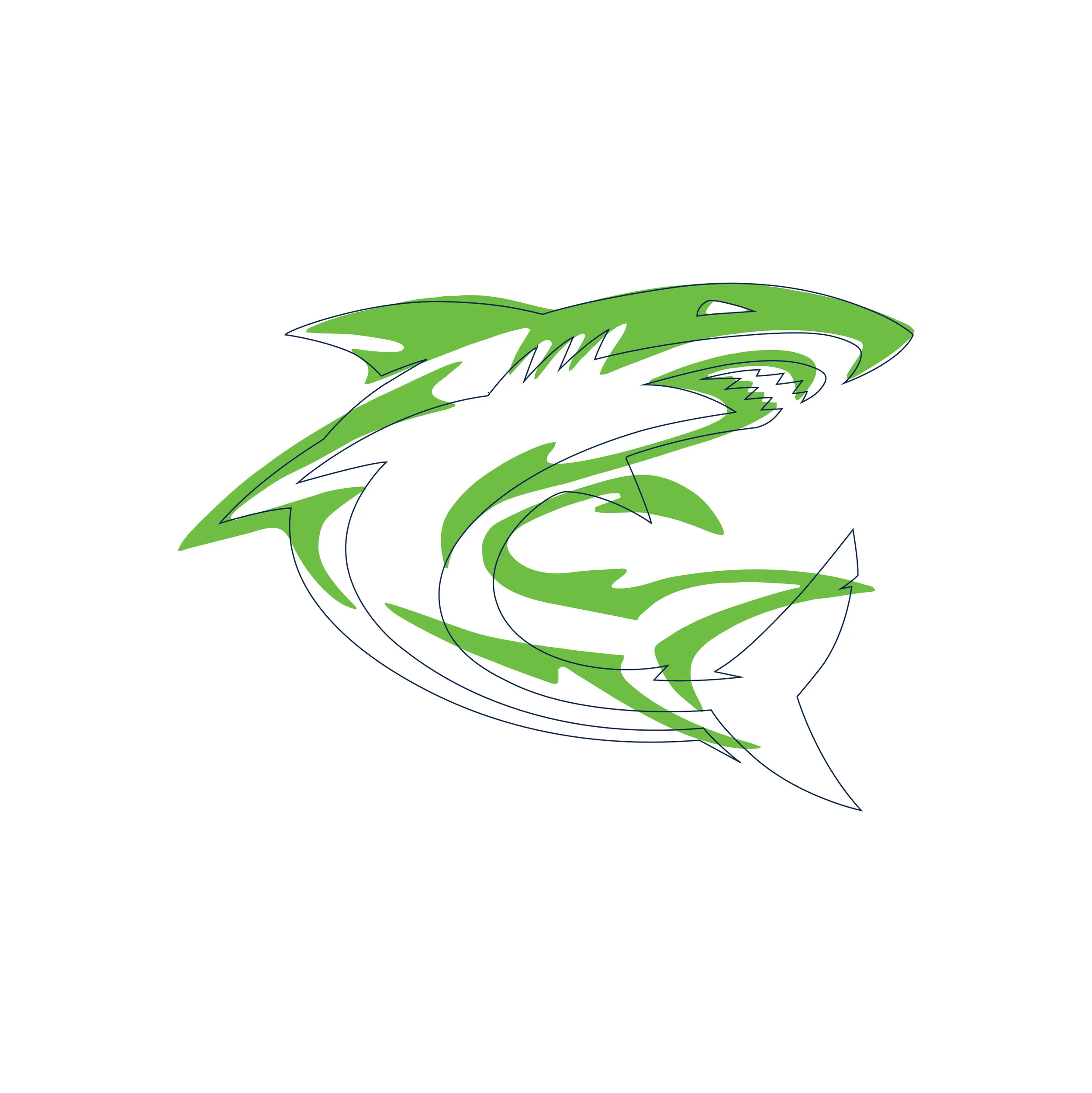 PSAA Sharks A-04.jpg