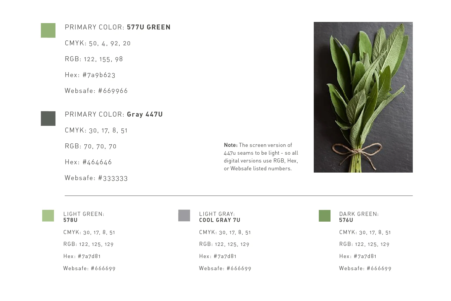  The natural color palette enhances the modern feel of the mark and ties it to nature.&nbsp; 