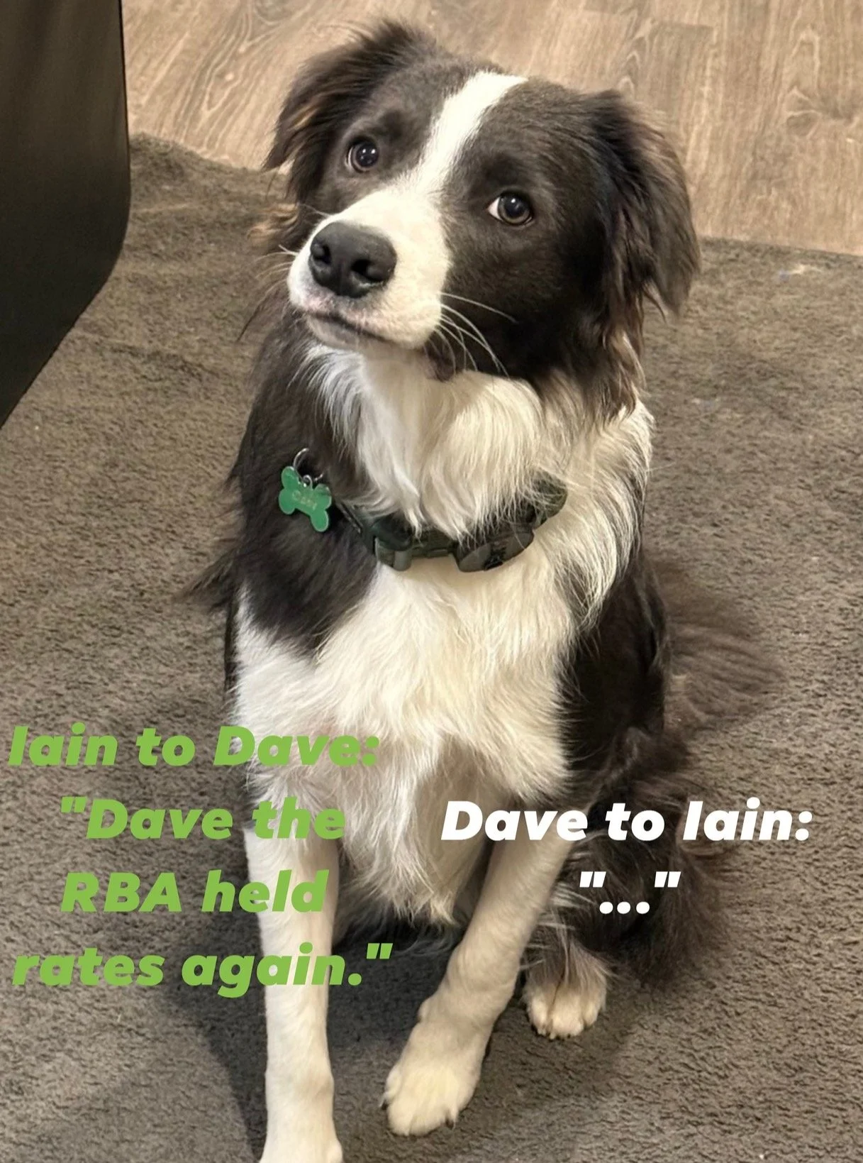 Told Dave the reserve bank didn't lower the interest rate at their latest meeting... His response...