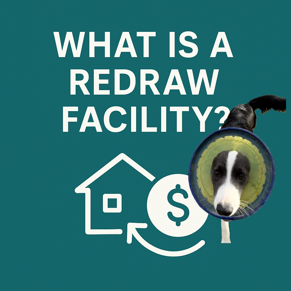 What is a redraw facility? 🐾