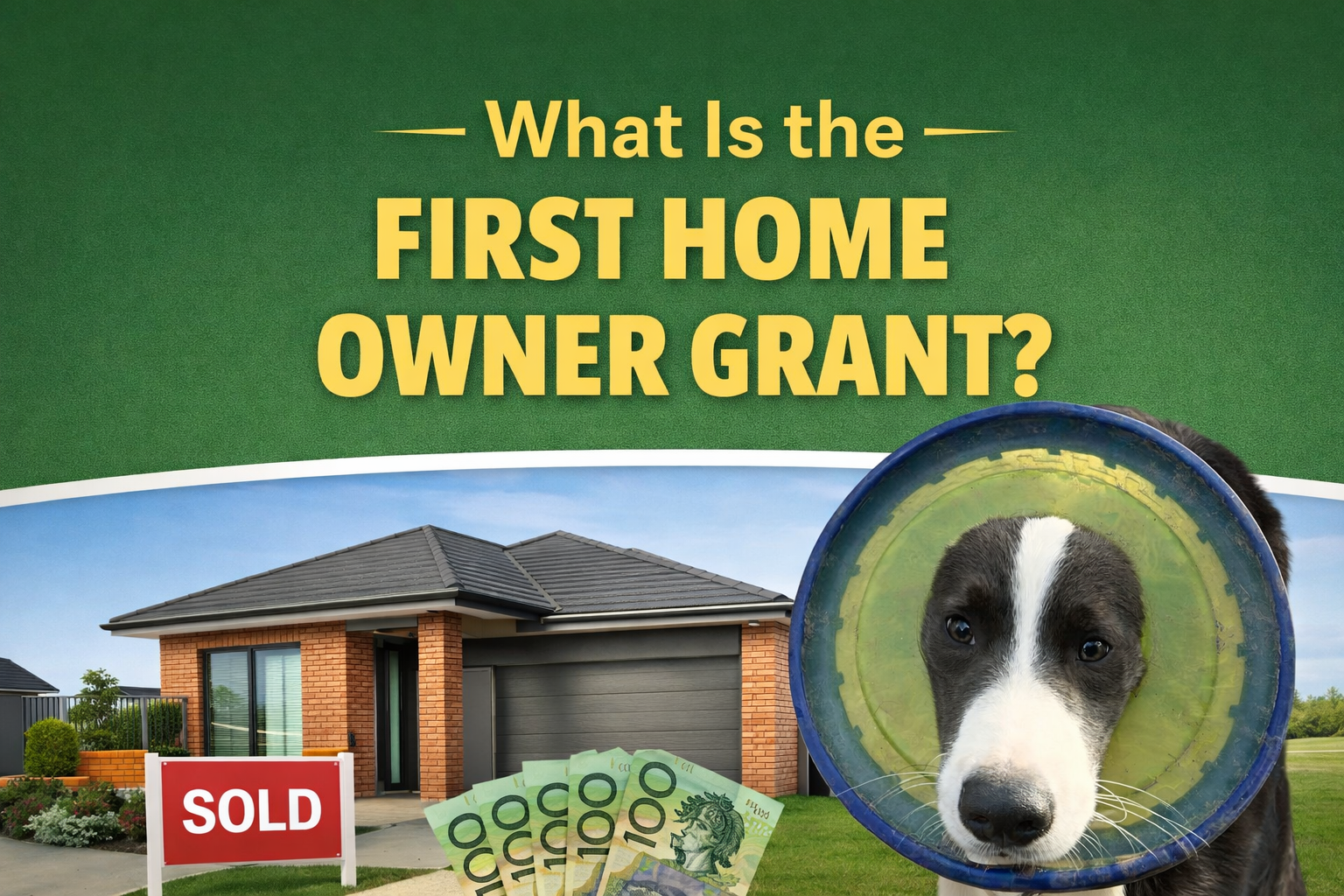 What Is the First Home Owner (FHOG) Grant? (Ep1 of the New Home Buyer’s mini series) 🐾