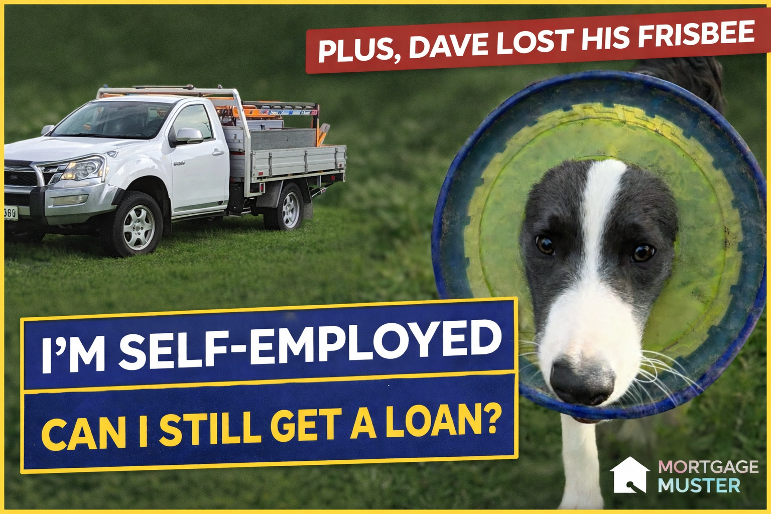 Self-Employed and Want a Loan? Here’s the Short Answer🐾