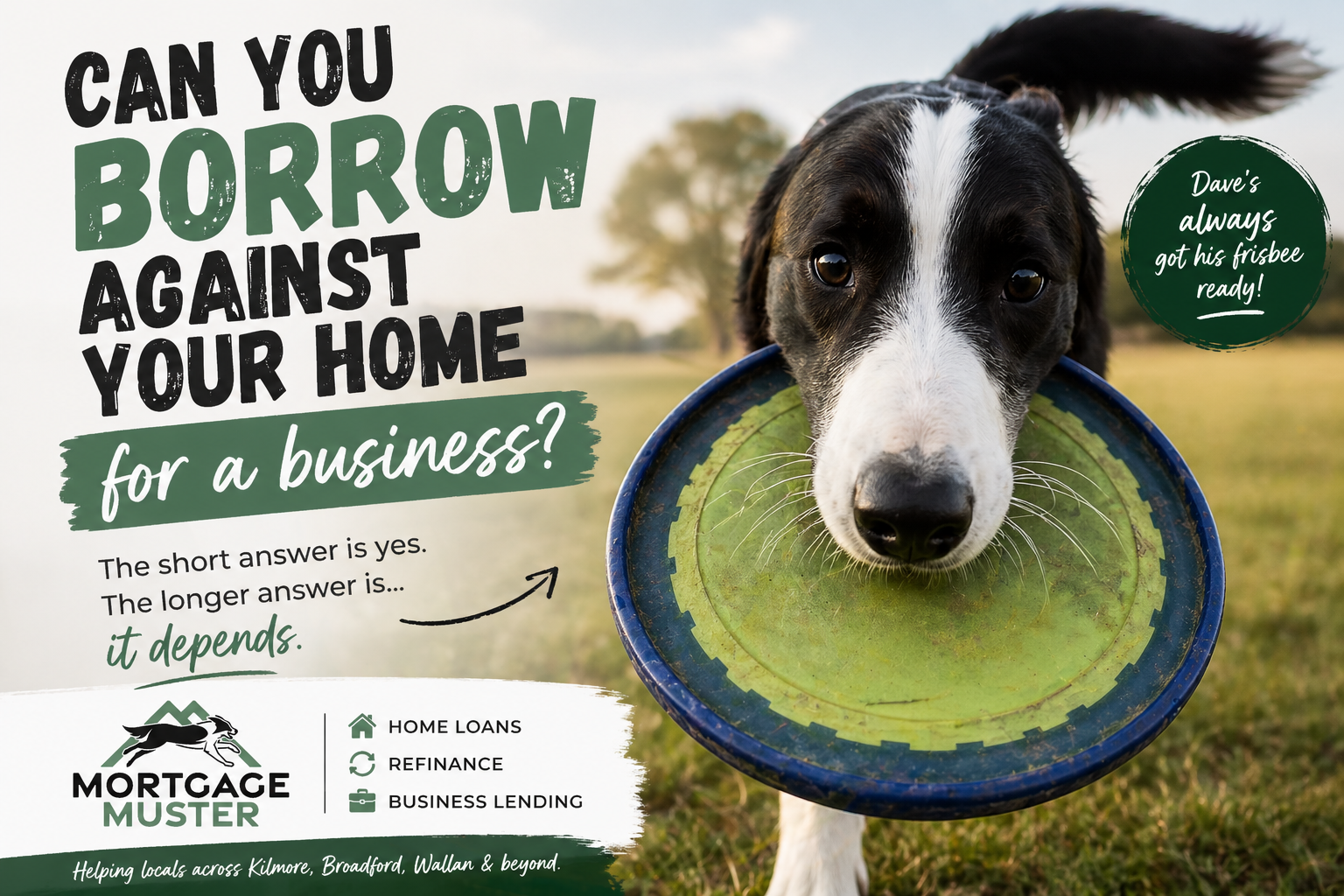 Can You Borrow Against Your Home for a Business?🐾