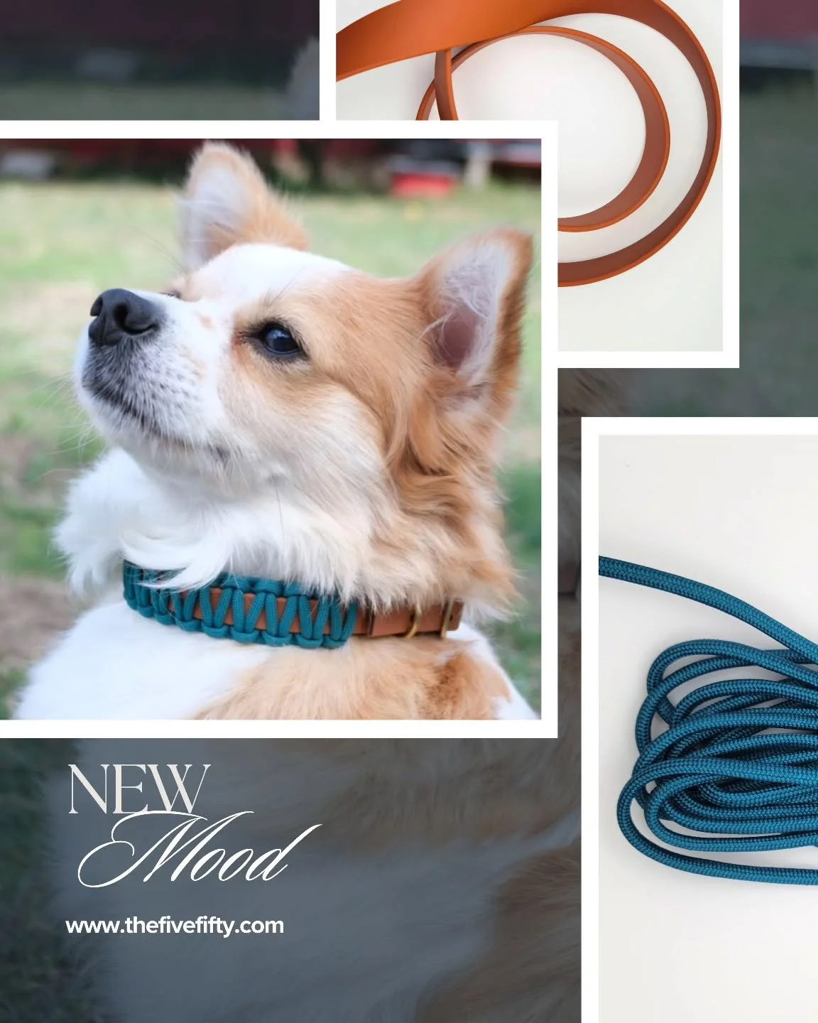 This is your sign to upgrade your pet's collar✨️ 
Custom made with premium materials;
Choose from 16 paracord colors, 7 strap colors, and a variety of designs. 
Visit www.thefivefifty.com 
Link in bio!
