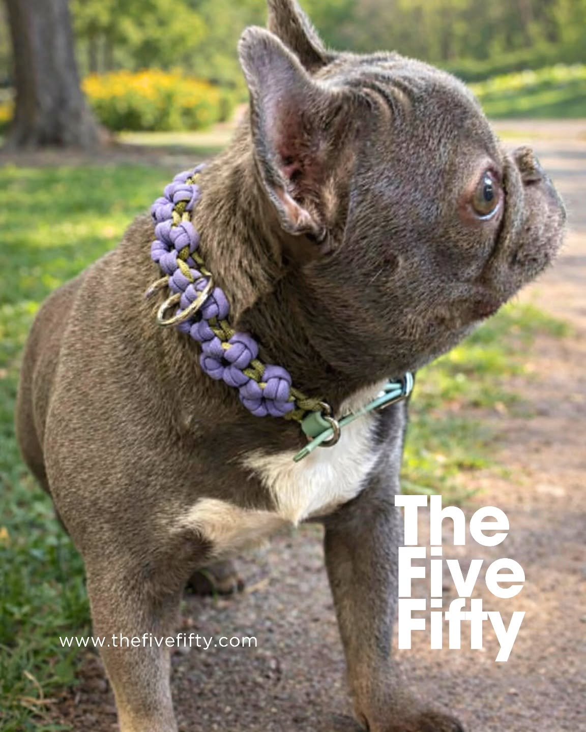 Now available: the Custom Blossom Collar for small dogs! Our collars are handmade with high quality materials, with 16 paracord colors and 7 strap colors to choose from. Customize yours at www.thefivefifty.com 💜