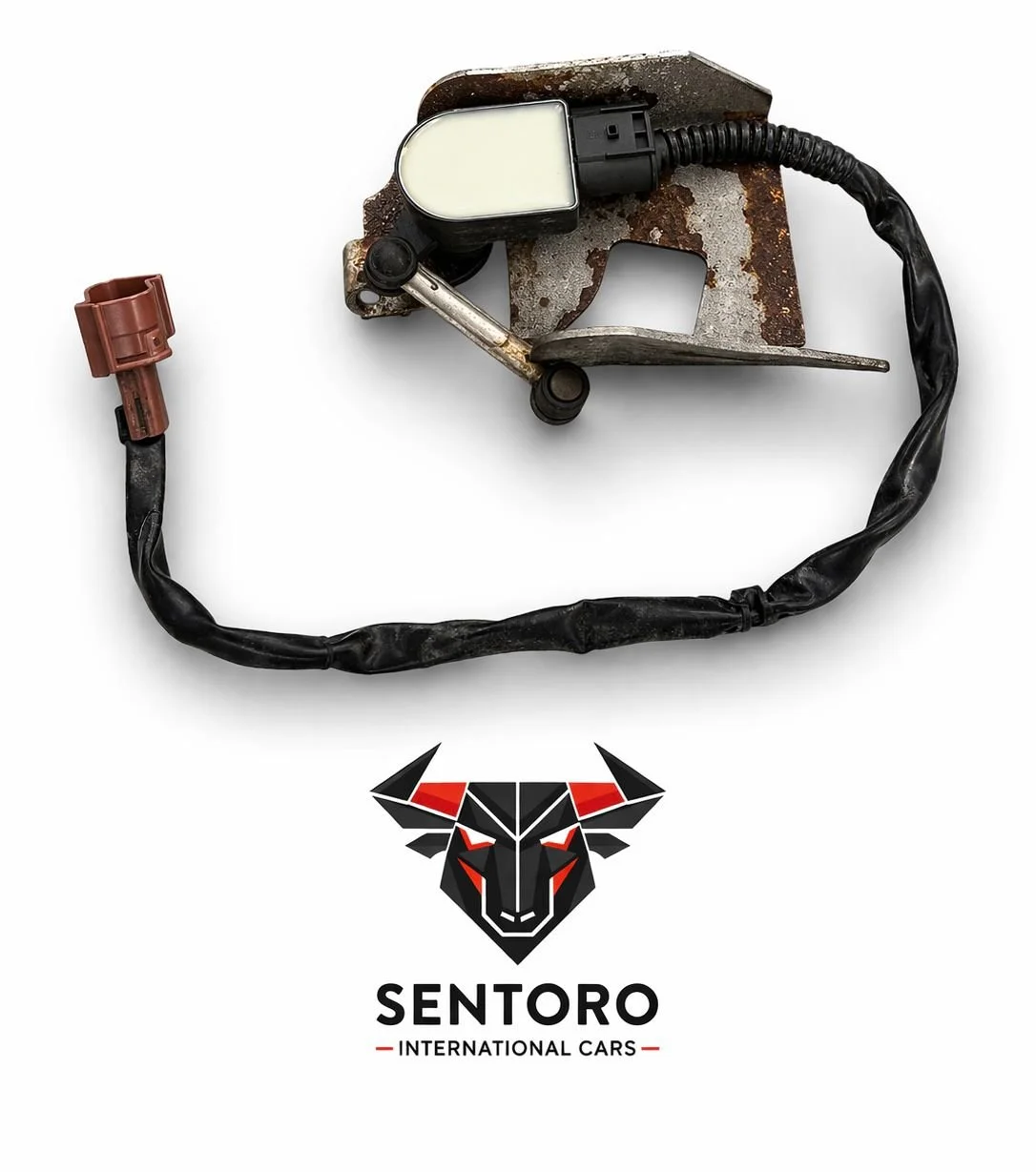 WhatsApp Image 2026-04-08 at 06.55.12.jpeg