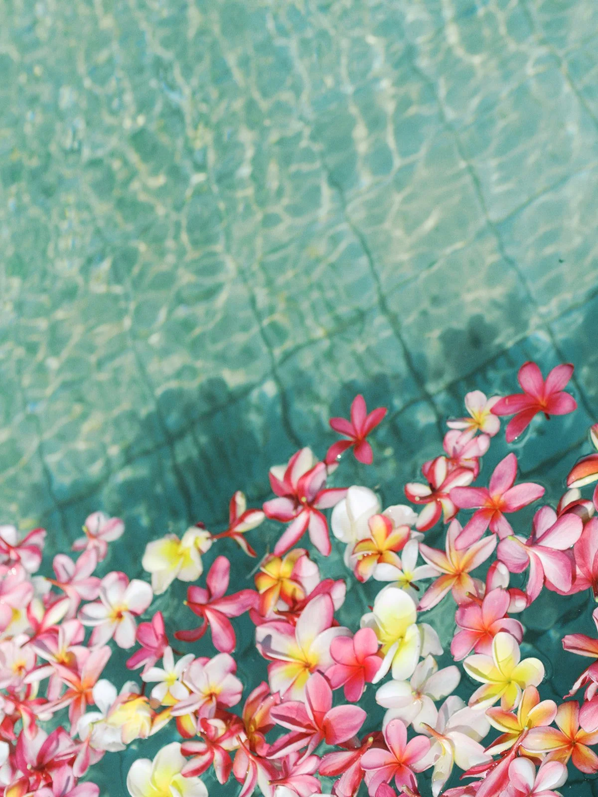 sara-emil-florals_websize.jpg