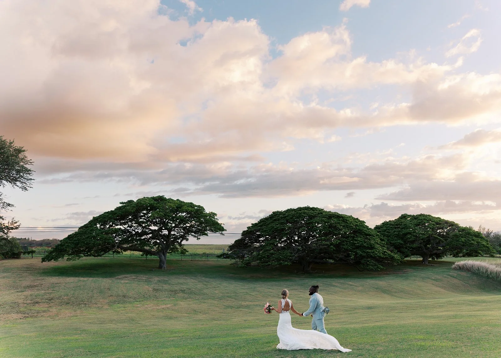 A wedding couple holding hands and walking on a grassy field, with trees and a partly cloudy sky in the background.