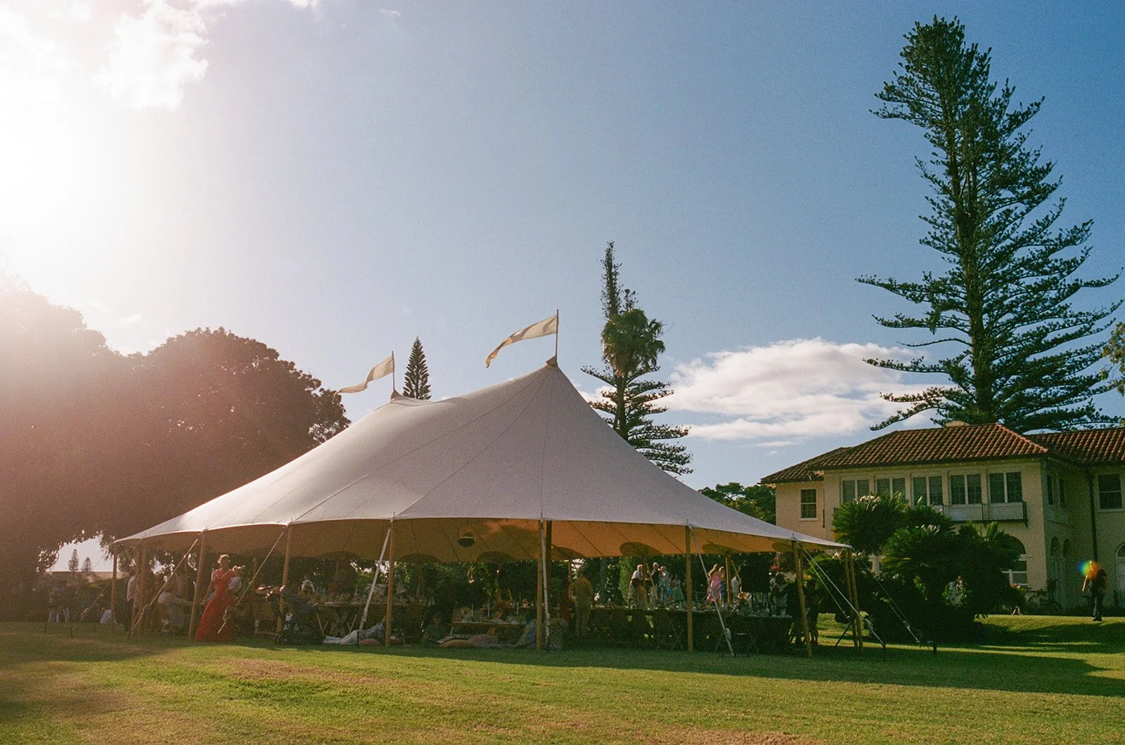 Outdoor event under a large white tent on a grassy lawn, with people socializing, surrounded by tall trees, with a house in the background and sunlight illuminating the scene.
