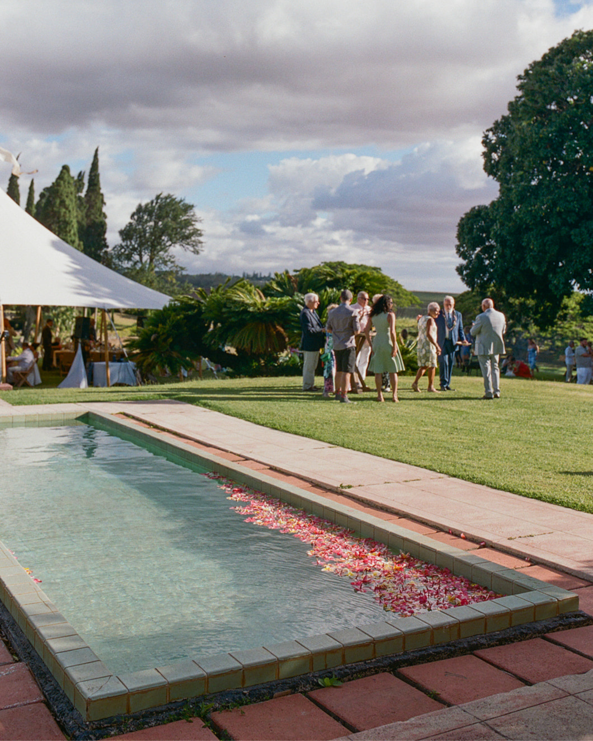 A group of people gathered outdoors near a swimming pool with flower petals scattered along the edge during daytime, with trees and a cloudy sky in the background.