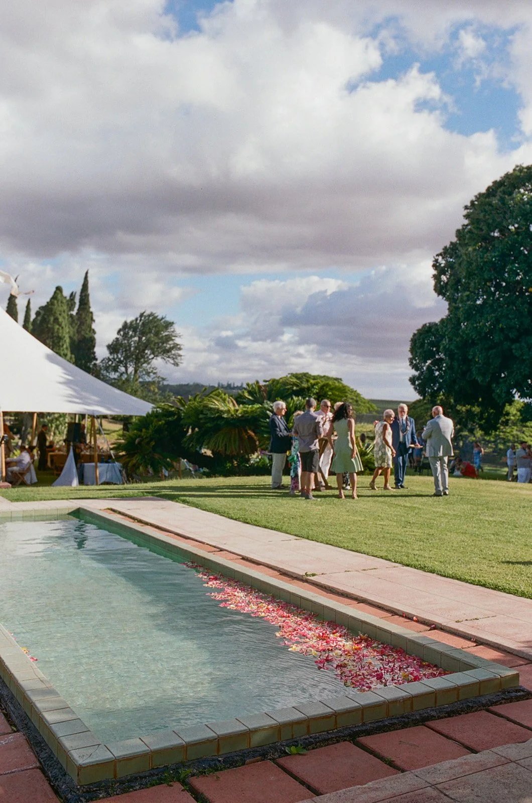 sara-emil-the-hui-maui-wedding-photos-781_websize.jpg