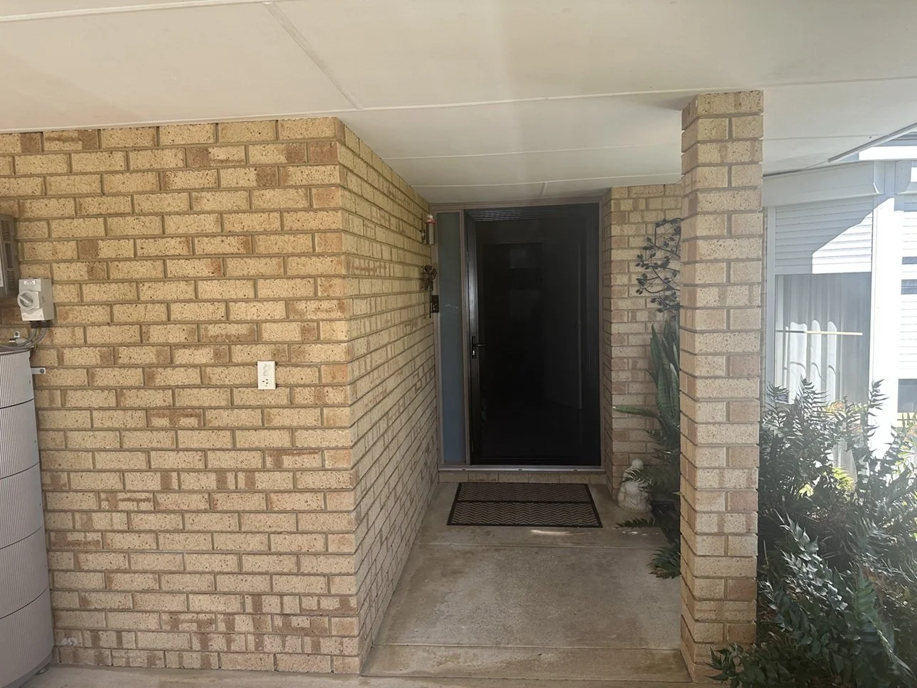 kingsley before 3.jpg