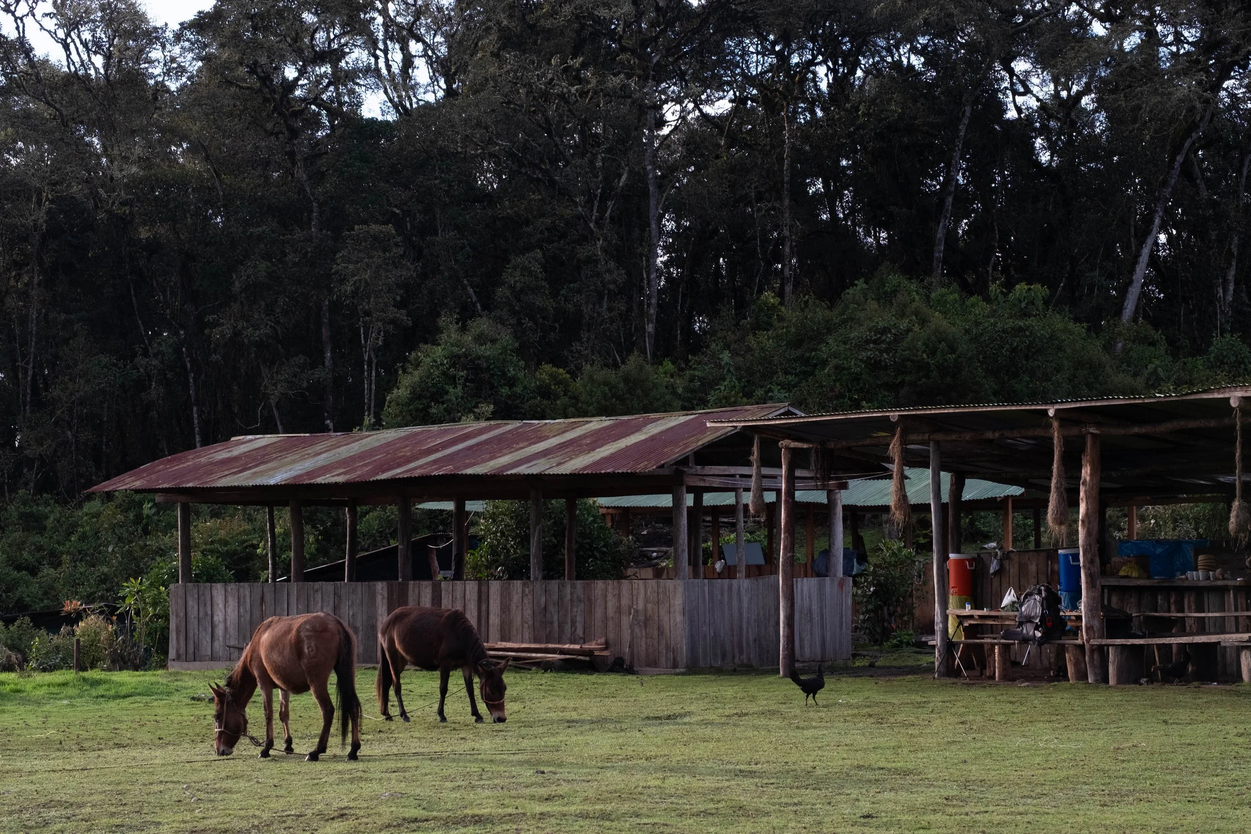 Peru Photos (624 of 1056).jpg