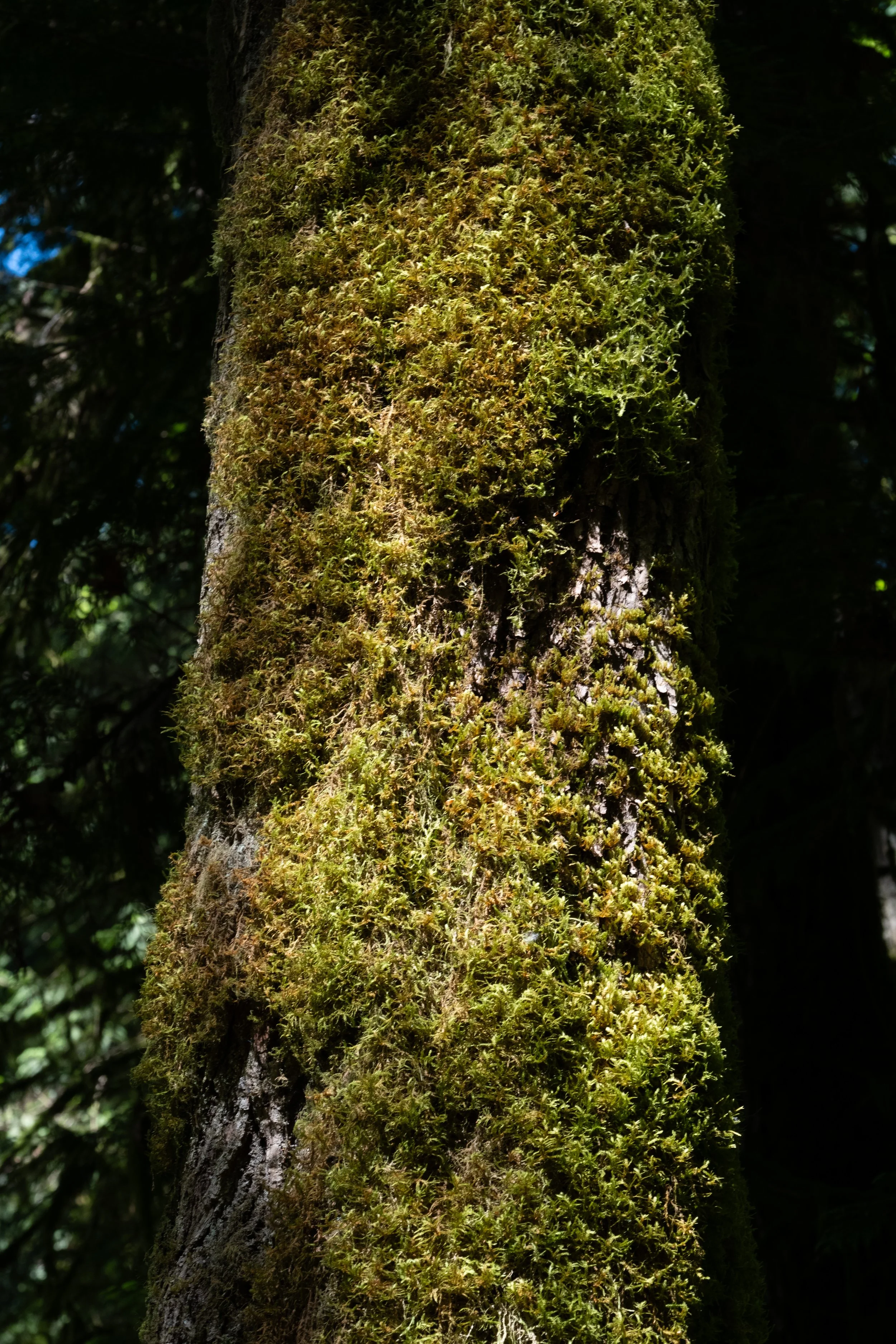 WestCoastTrip-89.jpg