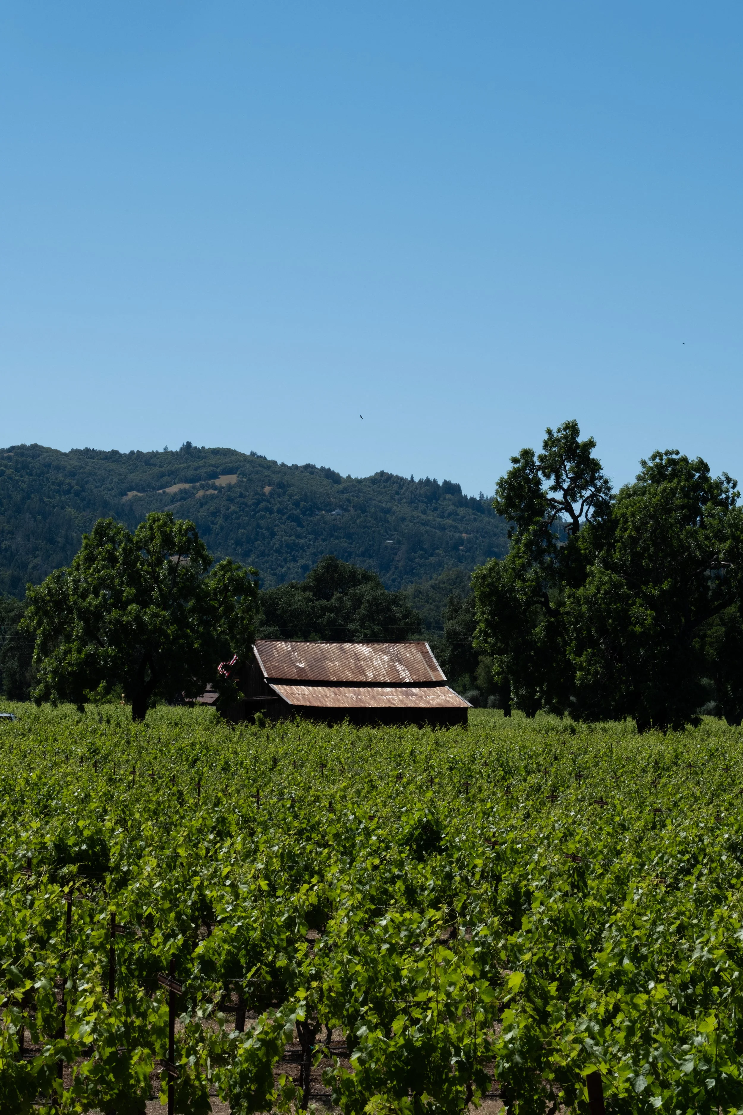 WestCoastTrip-39.jpg