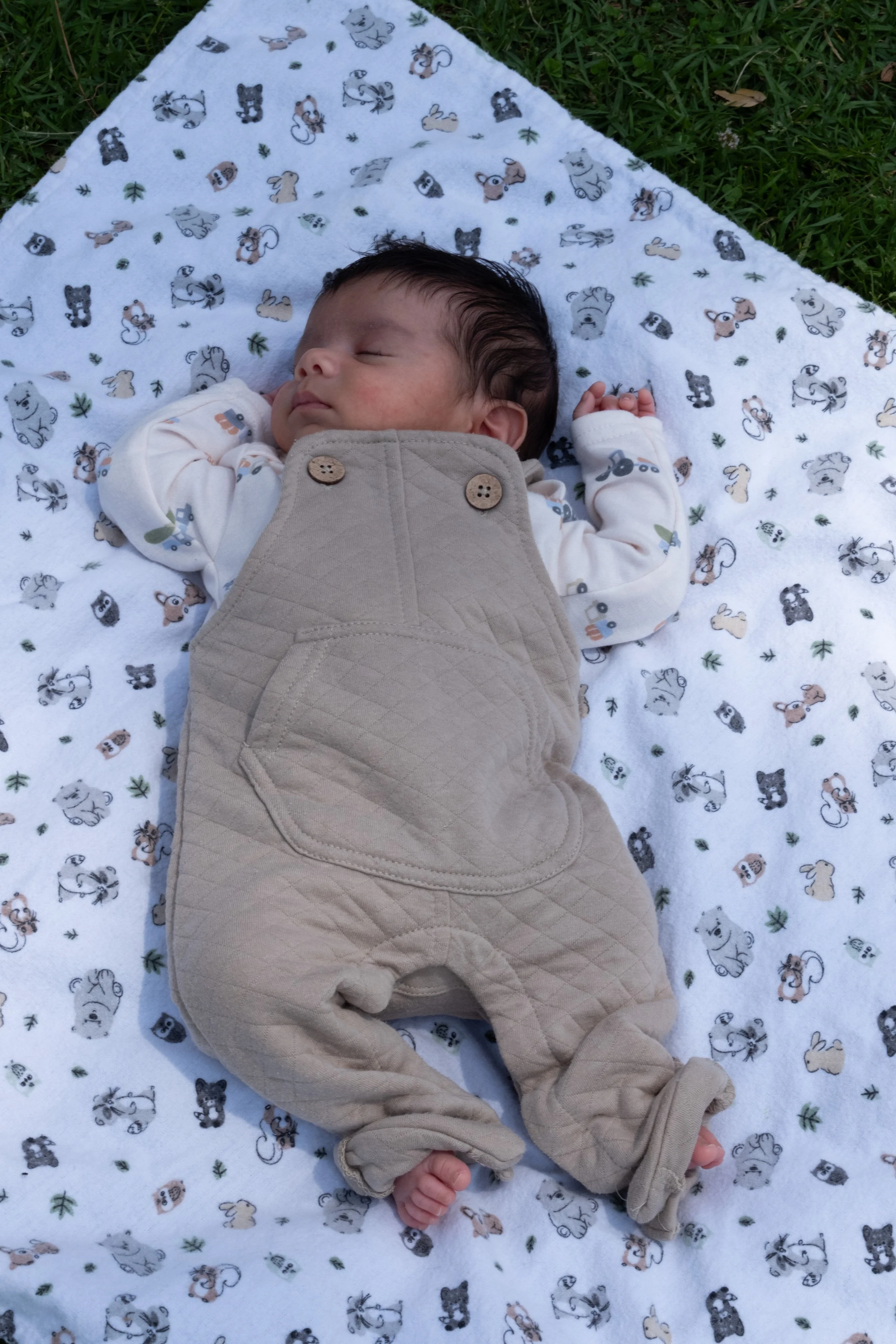 Family Photos-83.jpg