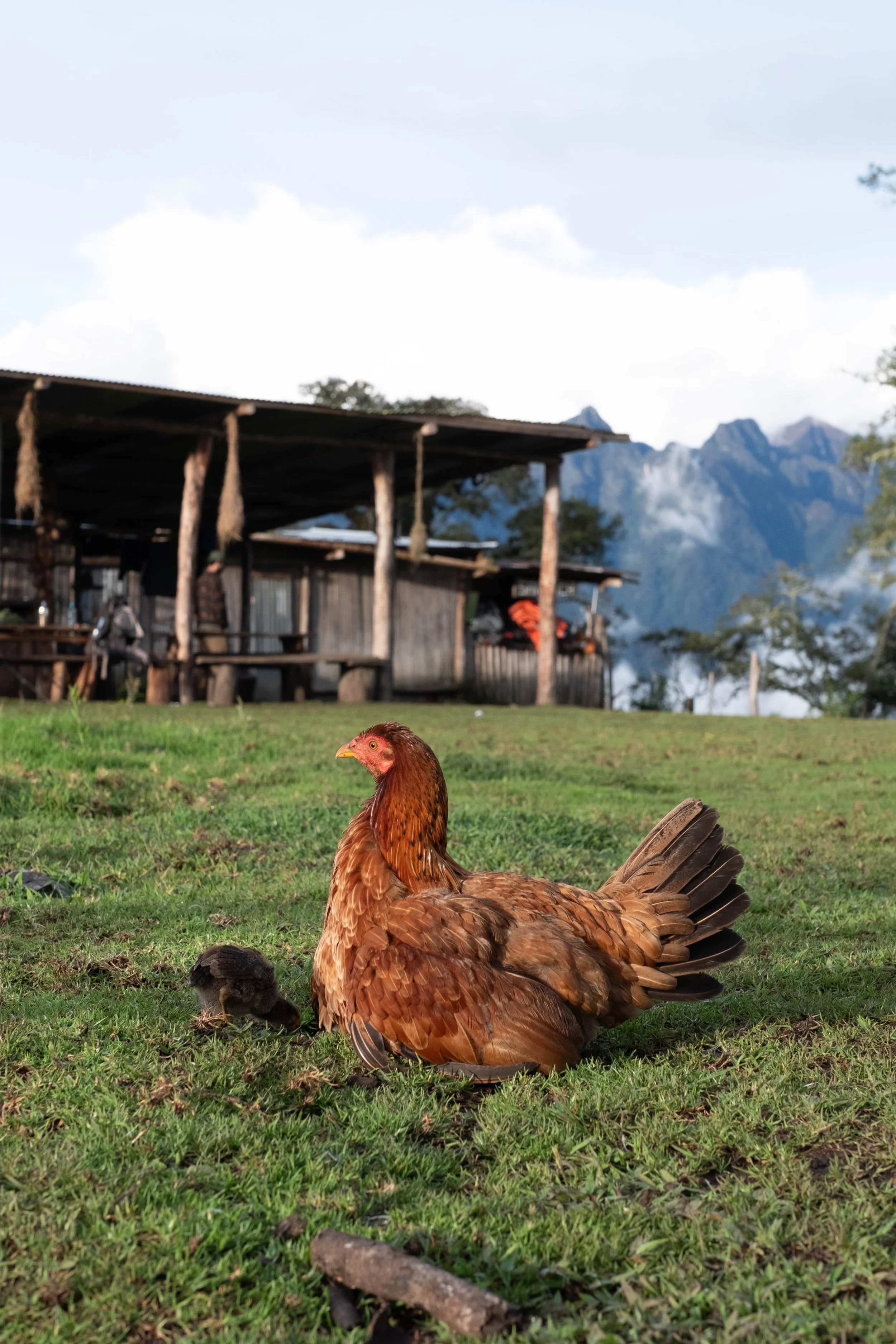 Peru Photos (646 of 1056).jpg