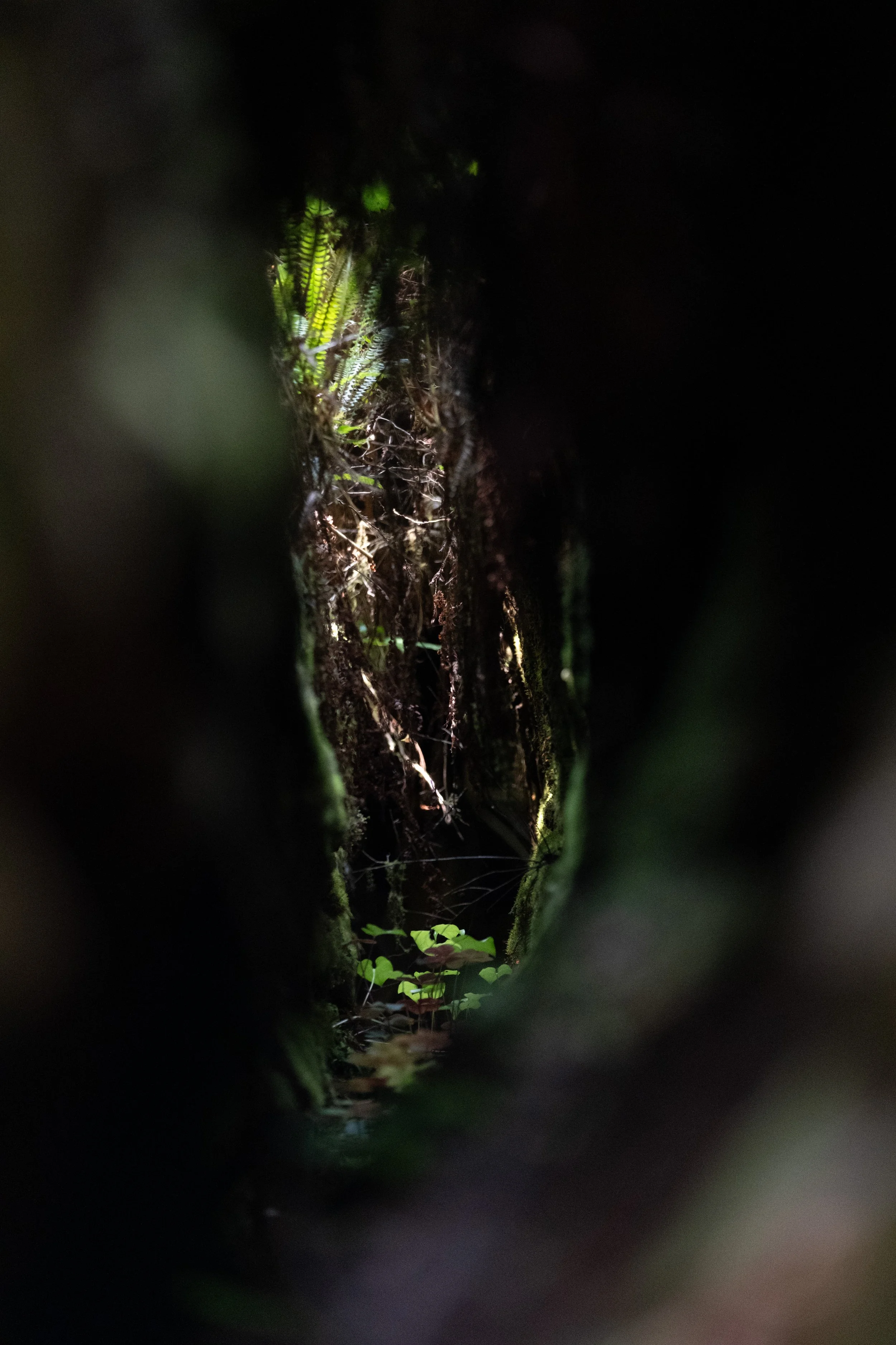 WestCoastTrip-59.jpg